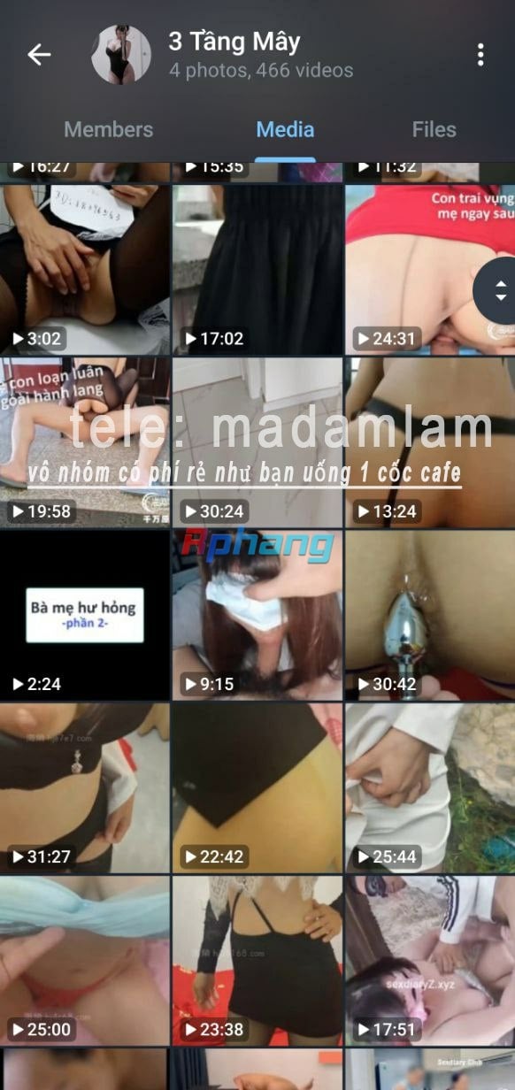 i tele madamlam.jpg