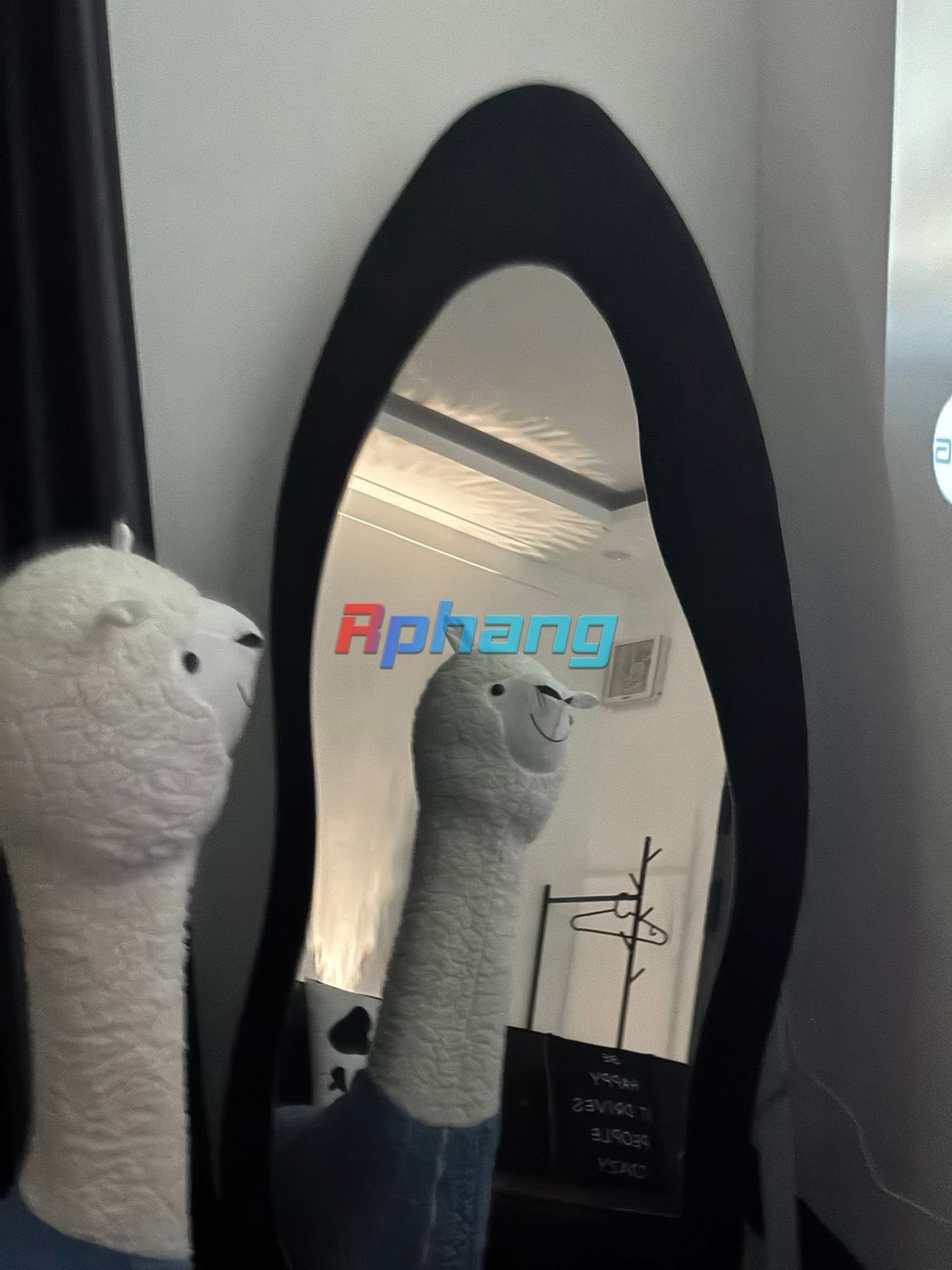 IMG_7772.jpeg