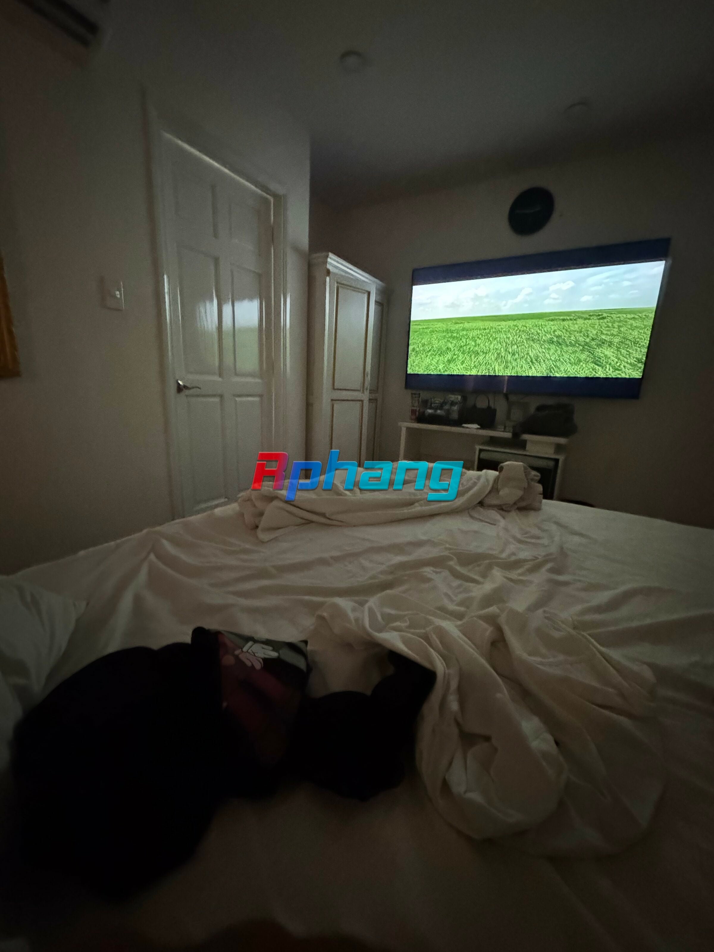 IMG_7446.jpeg