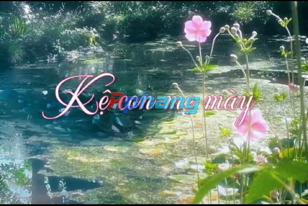 Gà con kachow