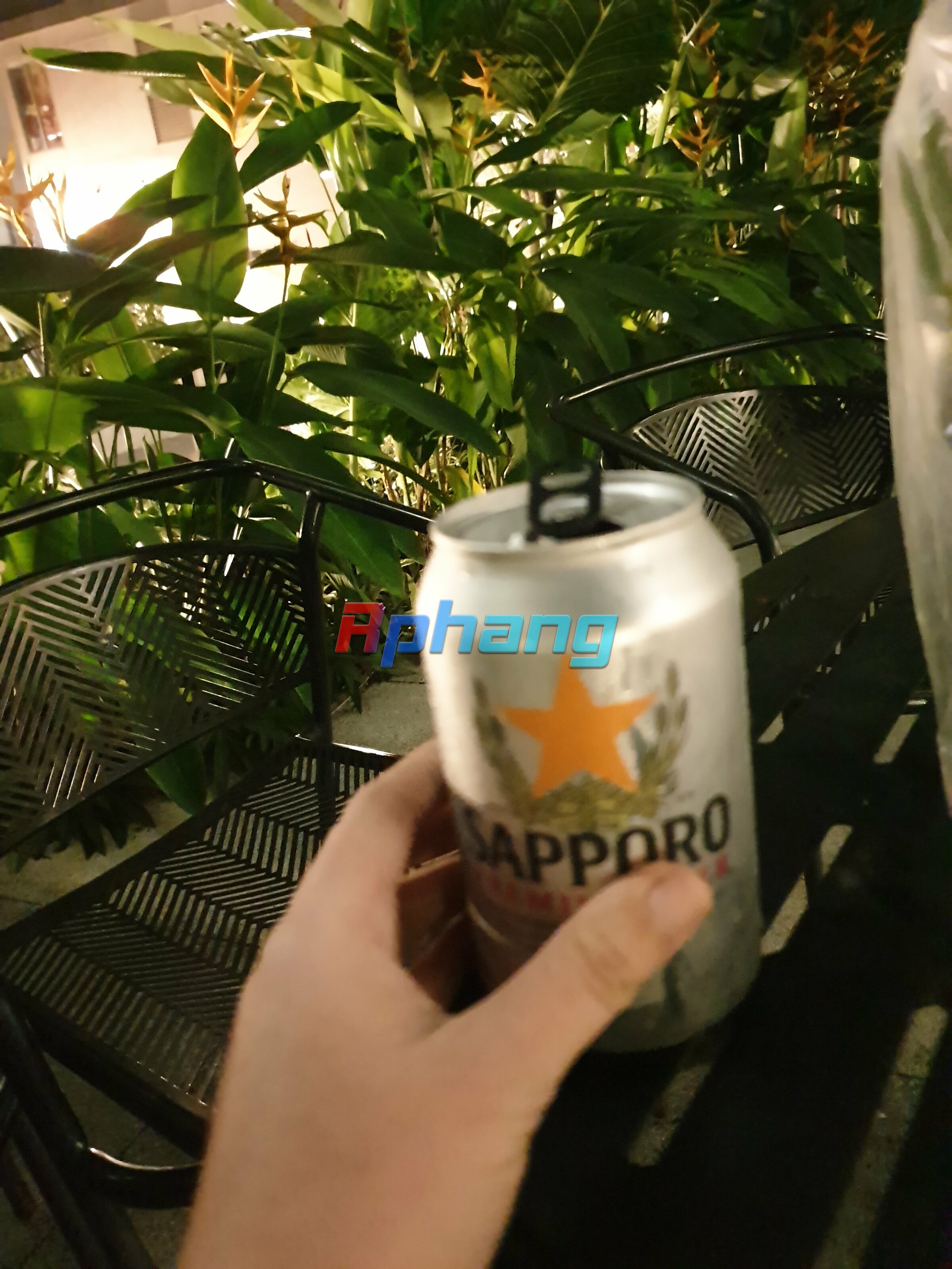 20251019_221317.jpg