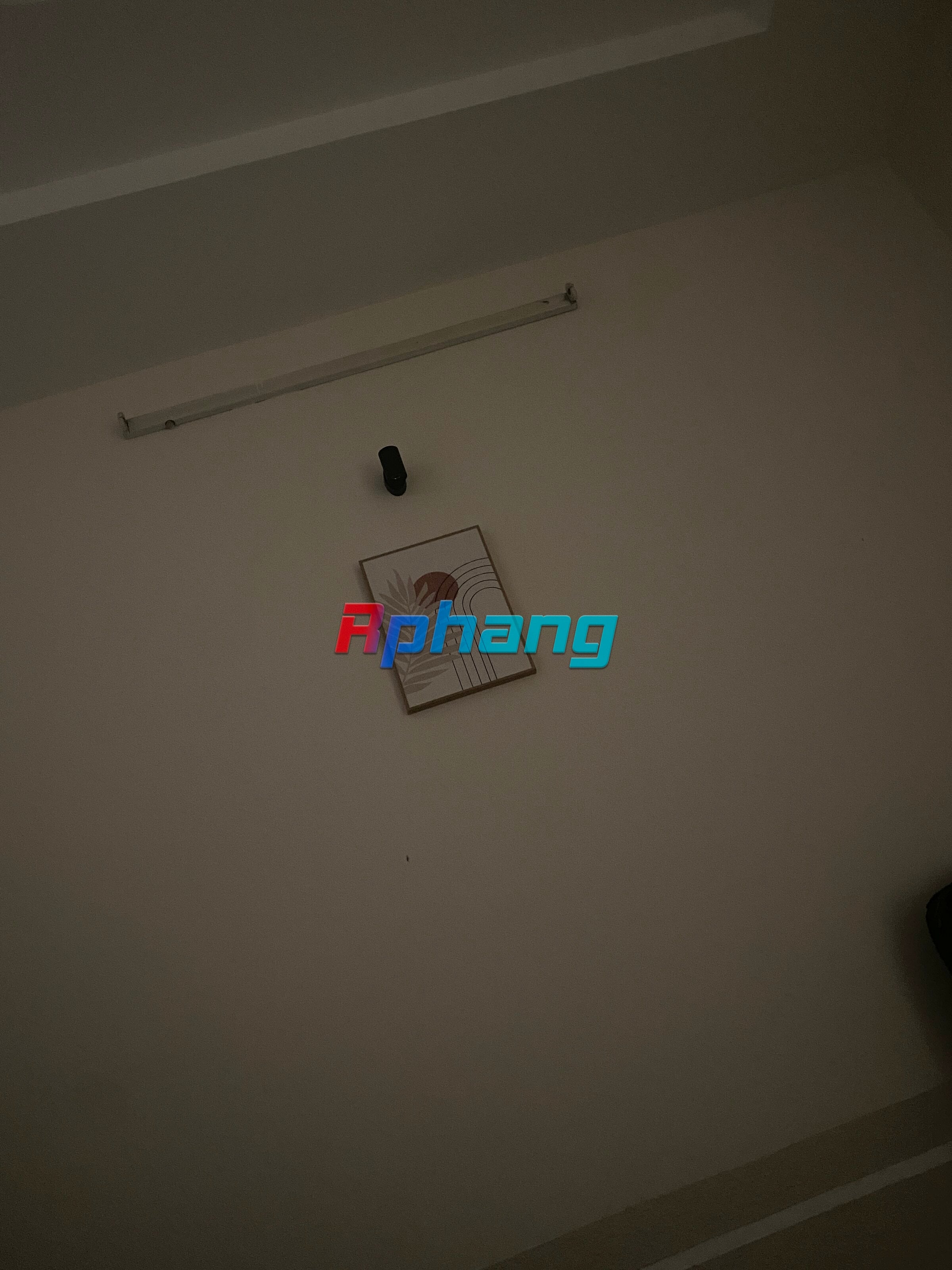 IMG_5804.jpeg
