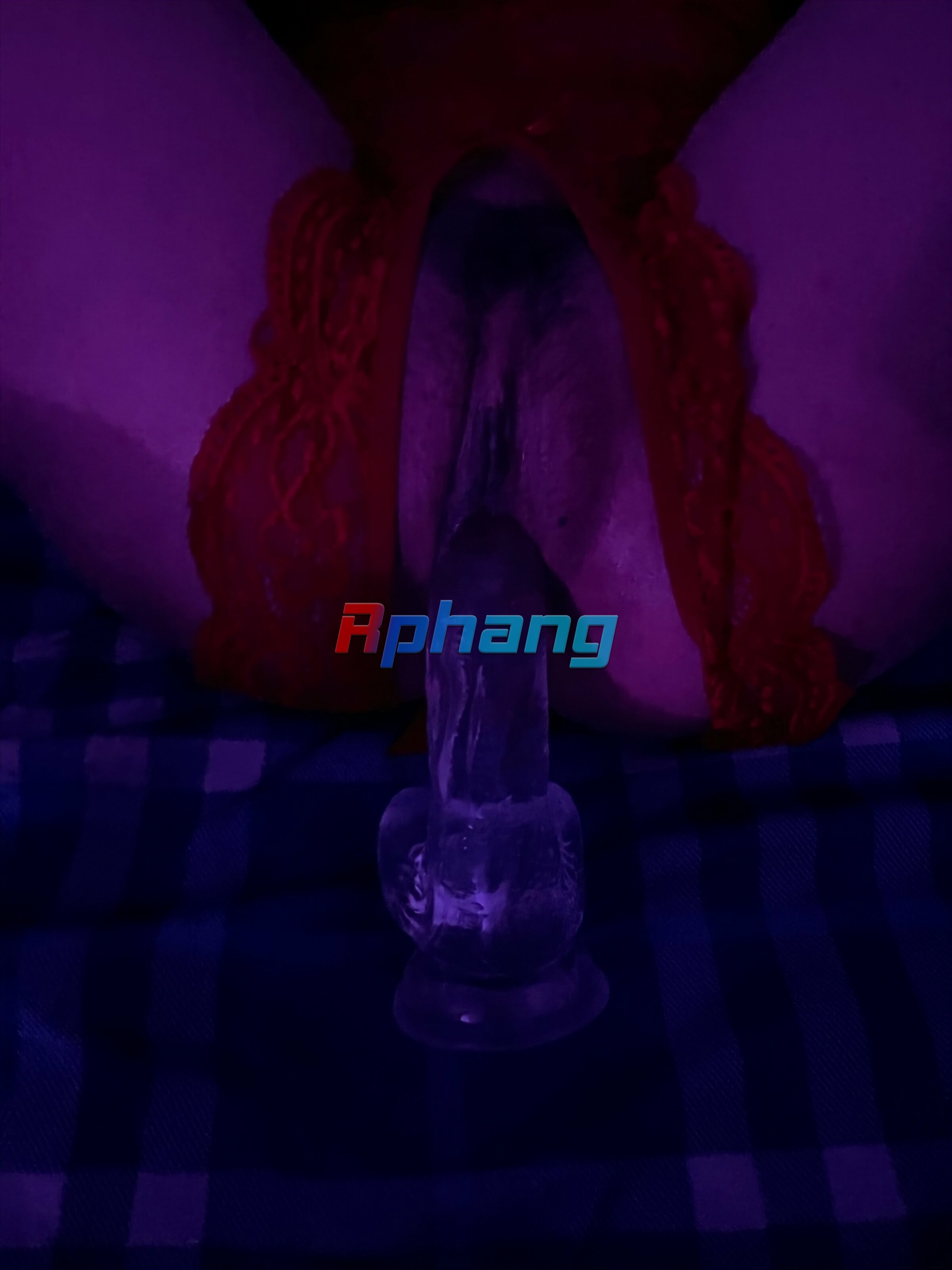 IMG_2019.jpeg
