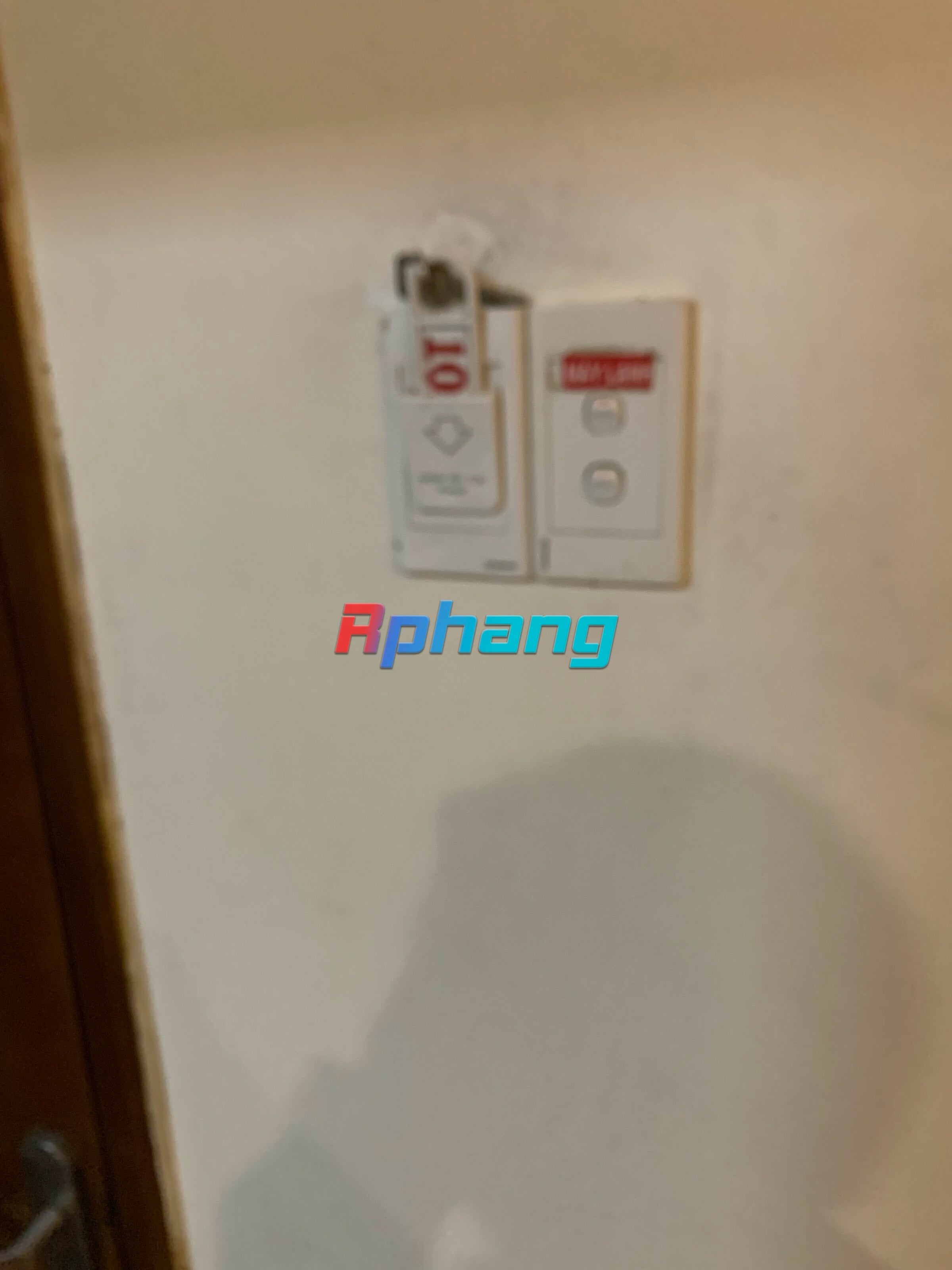 IMG_4917.jpeg