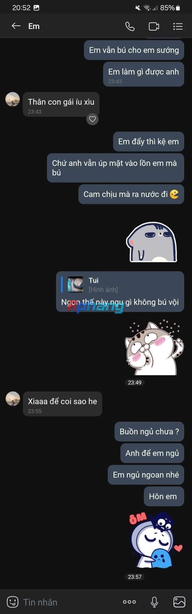 15.jpg