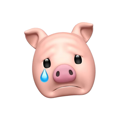1762496998217.png