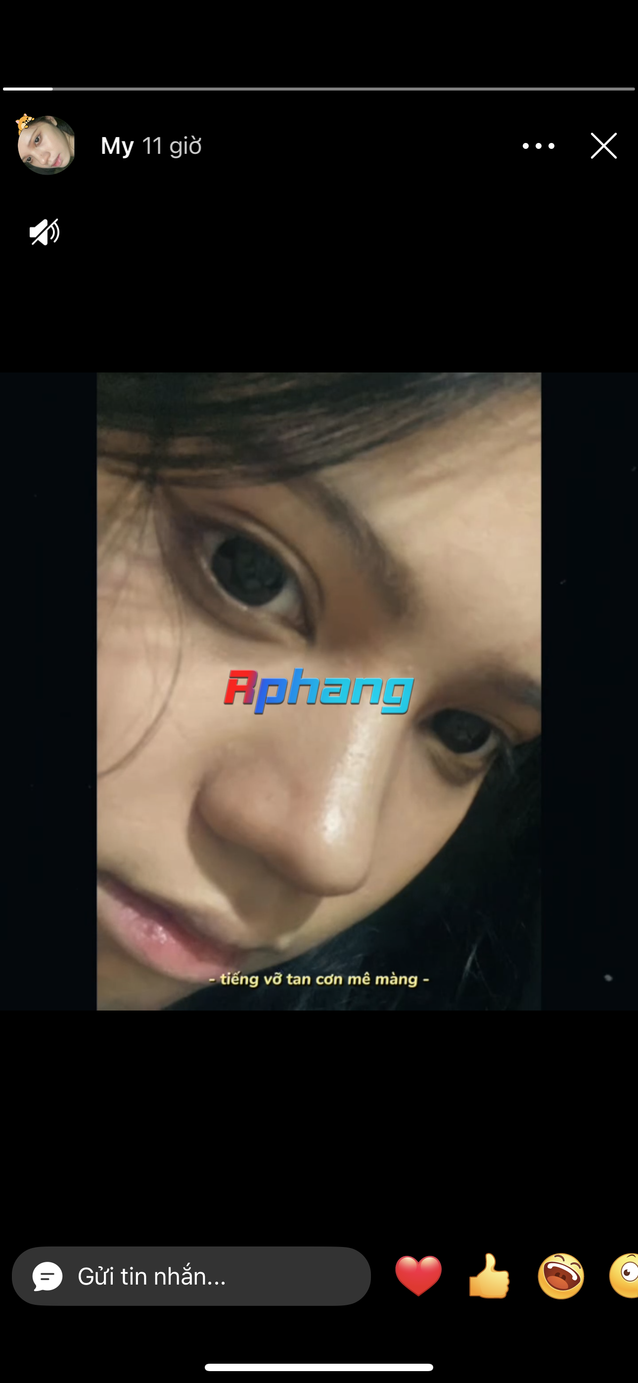 1699836_IMG_6304.png