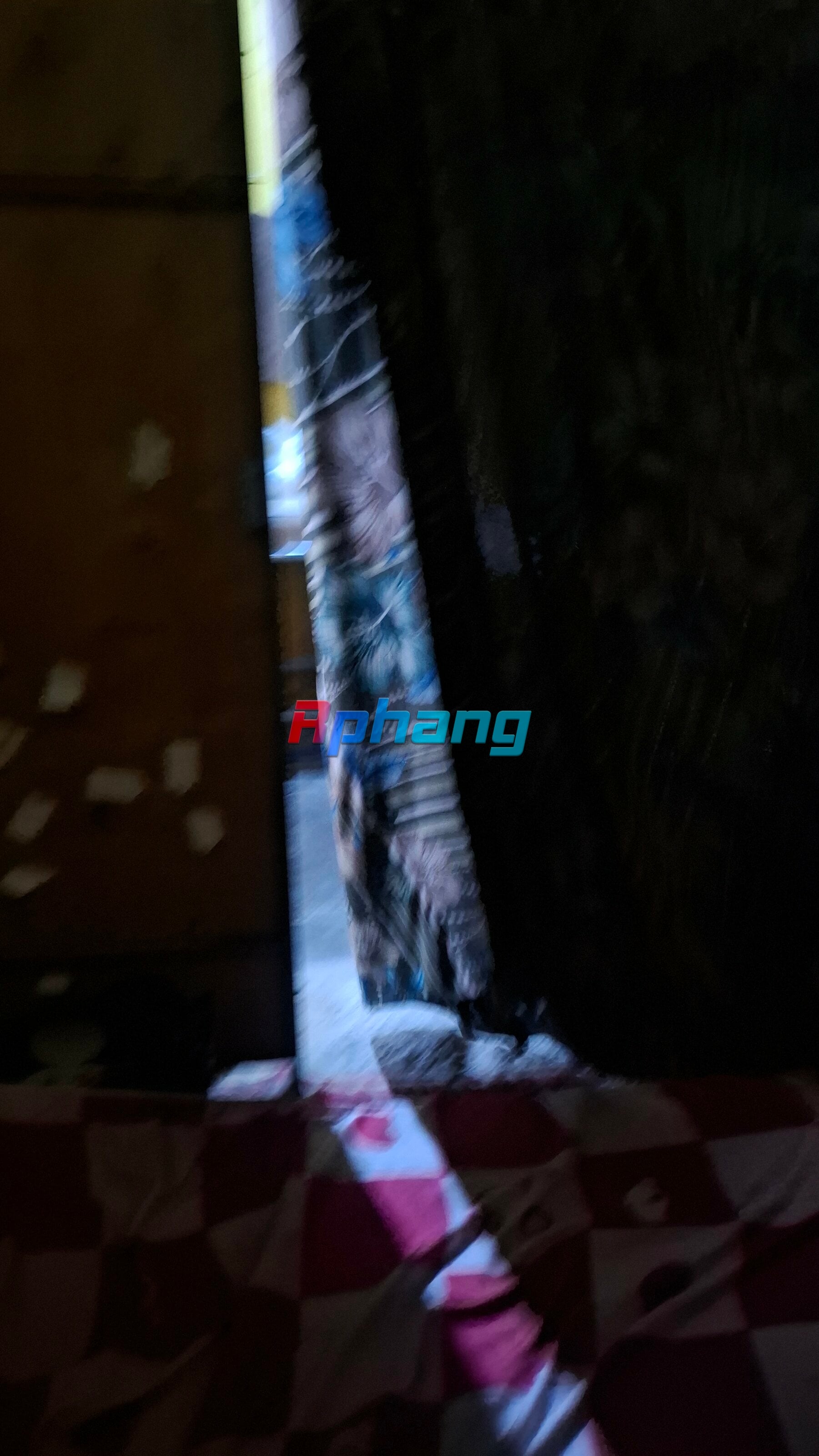 20251115_123251.jpg