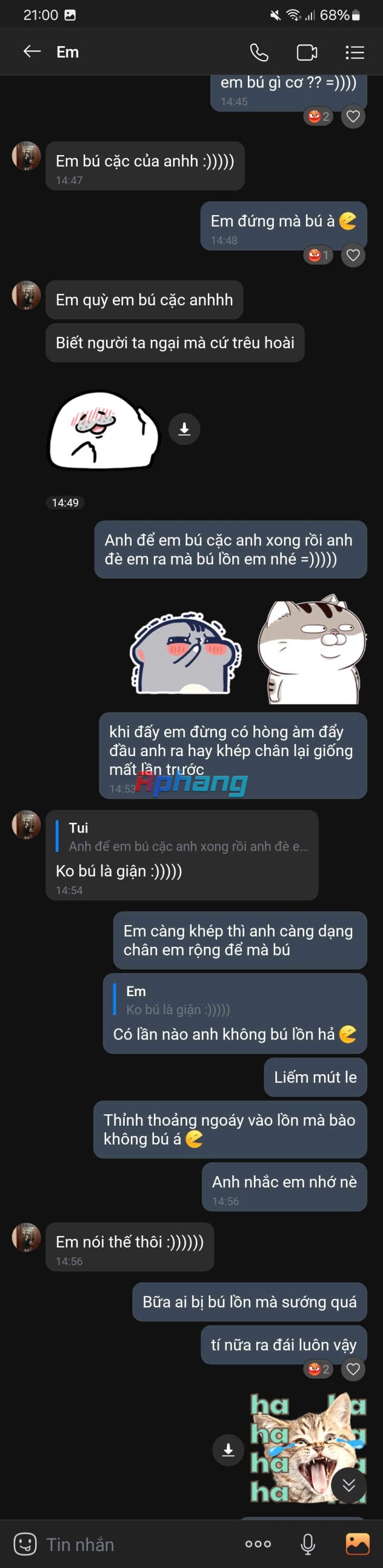 16.jpg