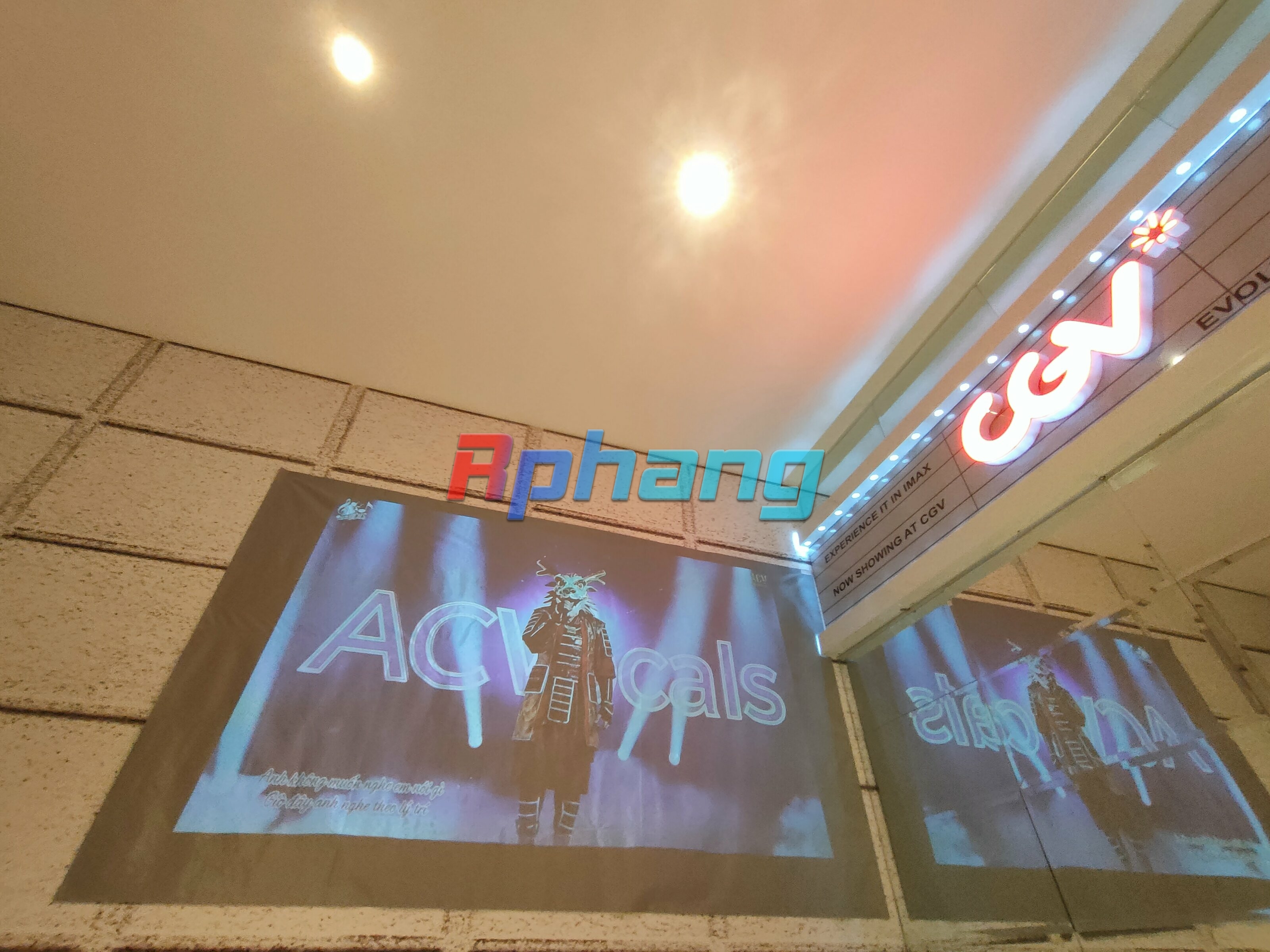 IMG20251109151717.jpg