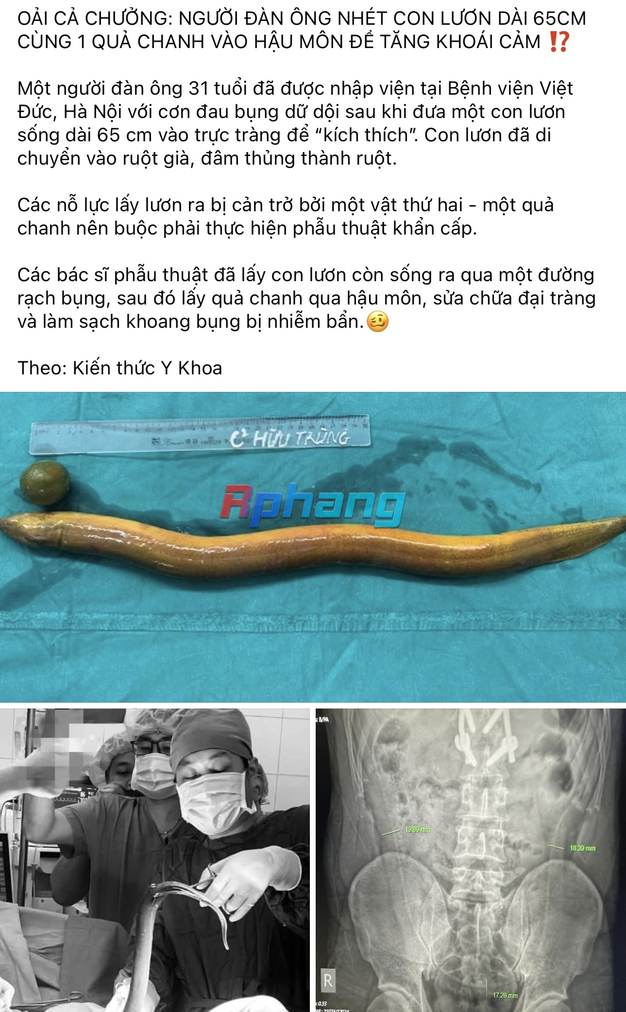 D650B6DF-88FB-4519-AE6E-C1BF8F84517C.jpeg