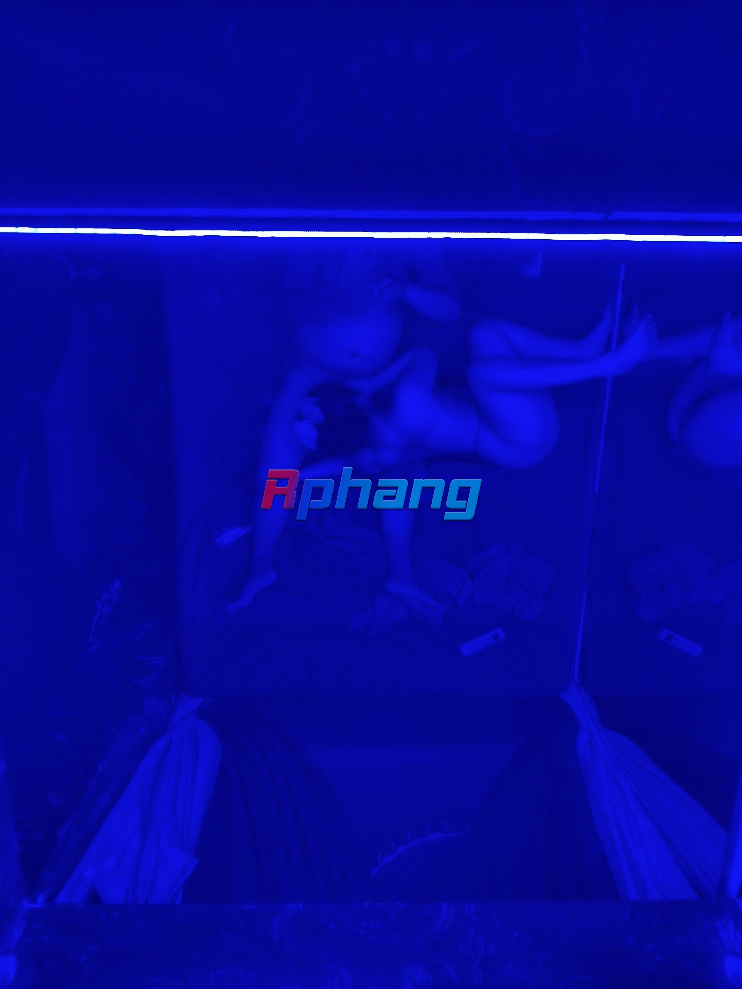 IMG20251201183815.jpg