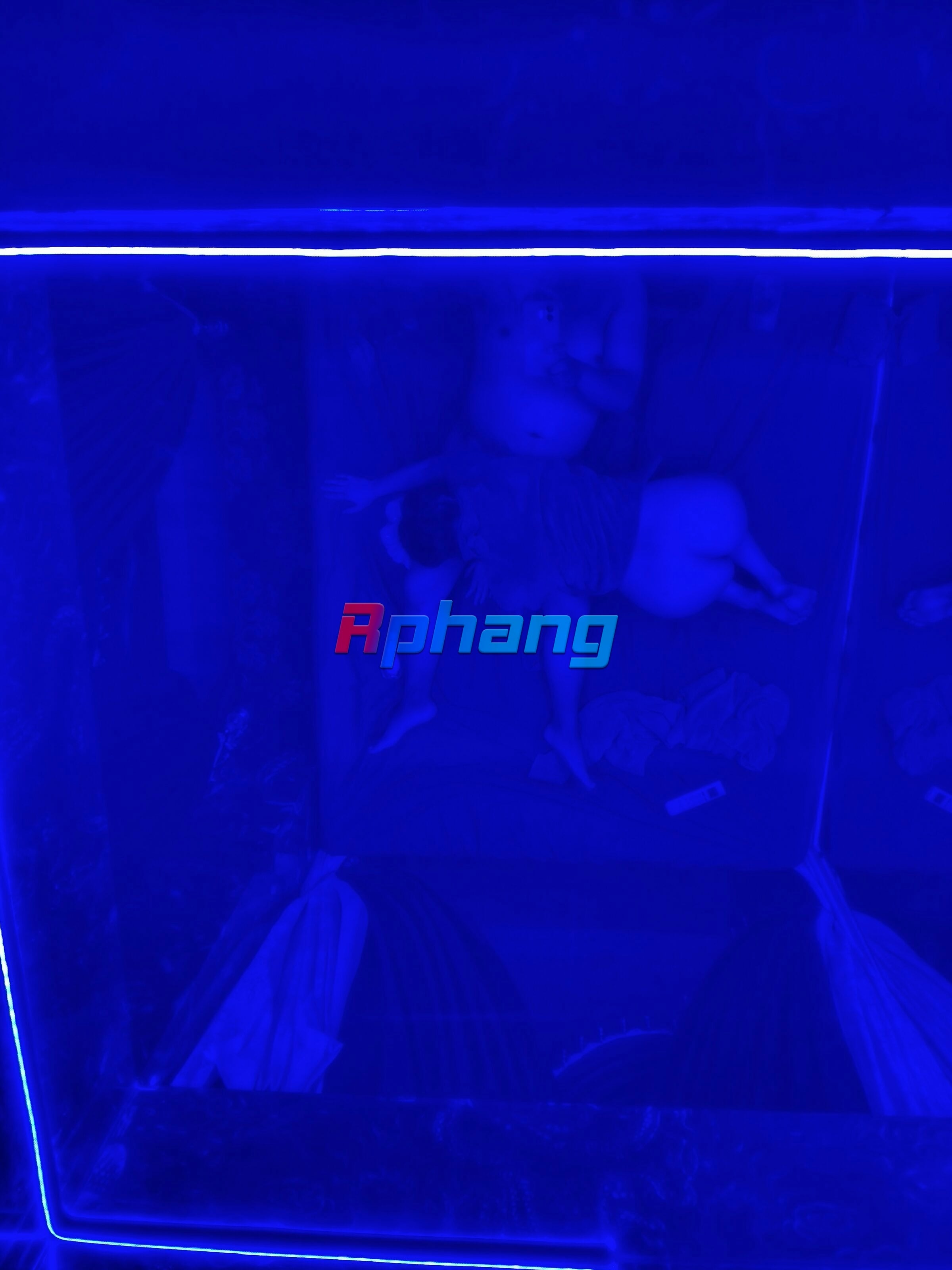 IMG20251201183515.jpg