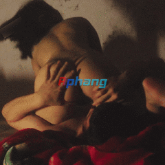 1202(5).gif