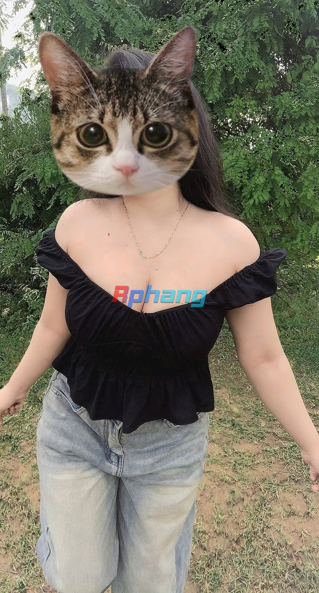 5041.jpg
