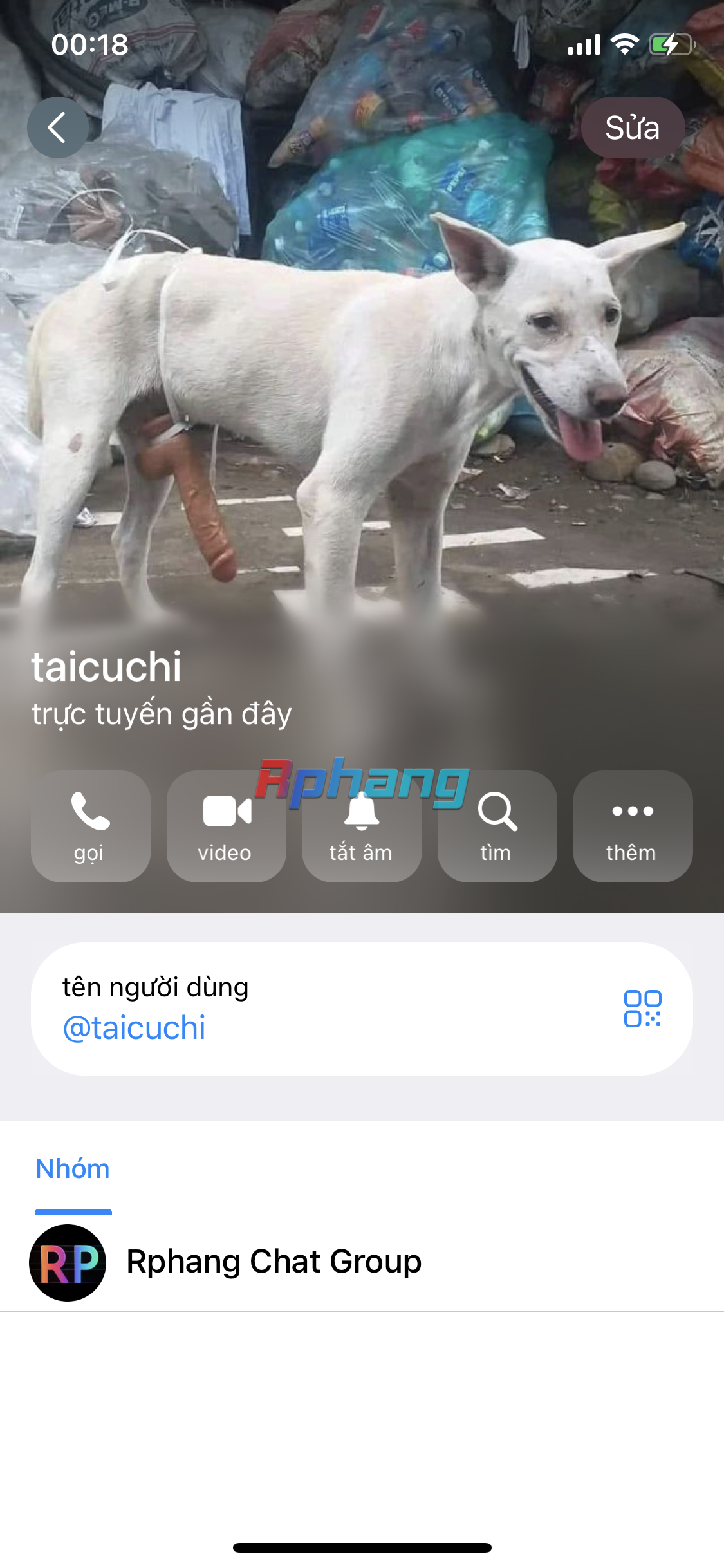 1765214458608.png
