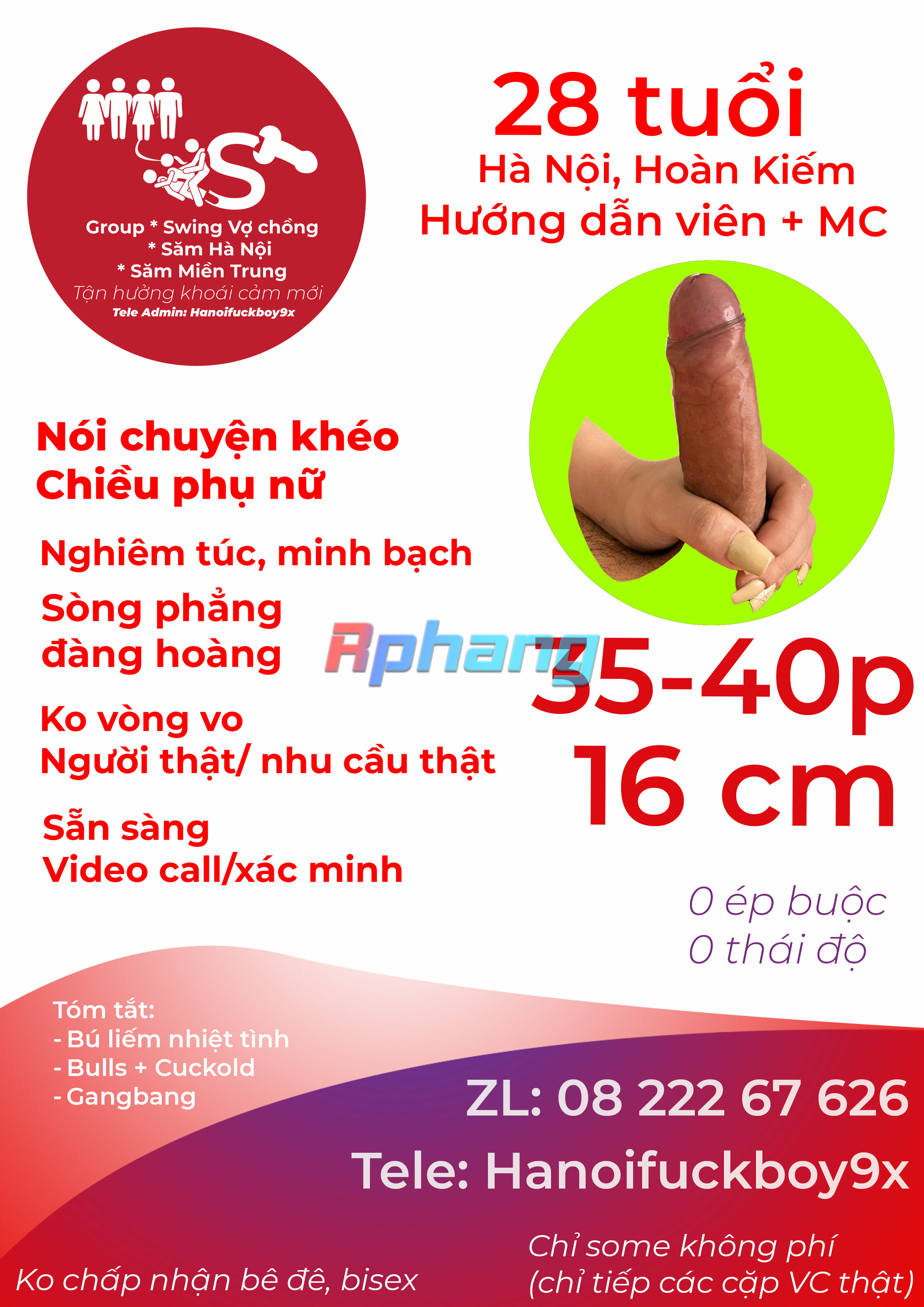 16cm.jpg