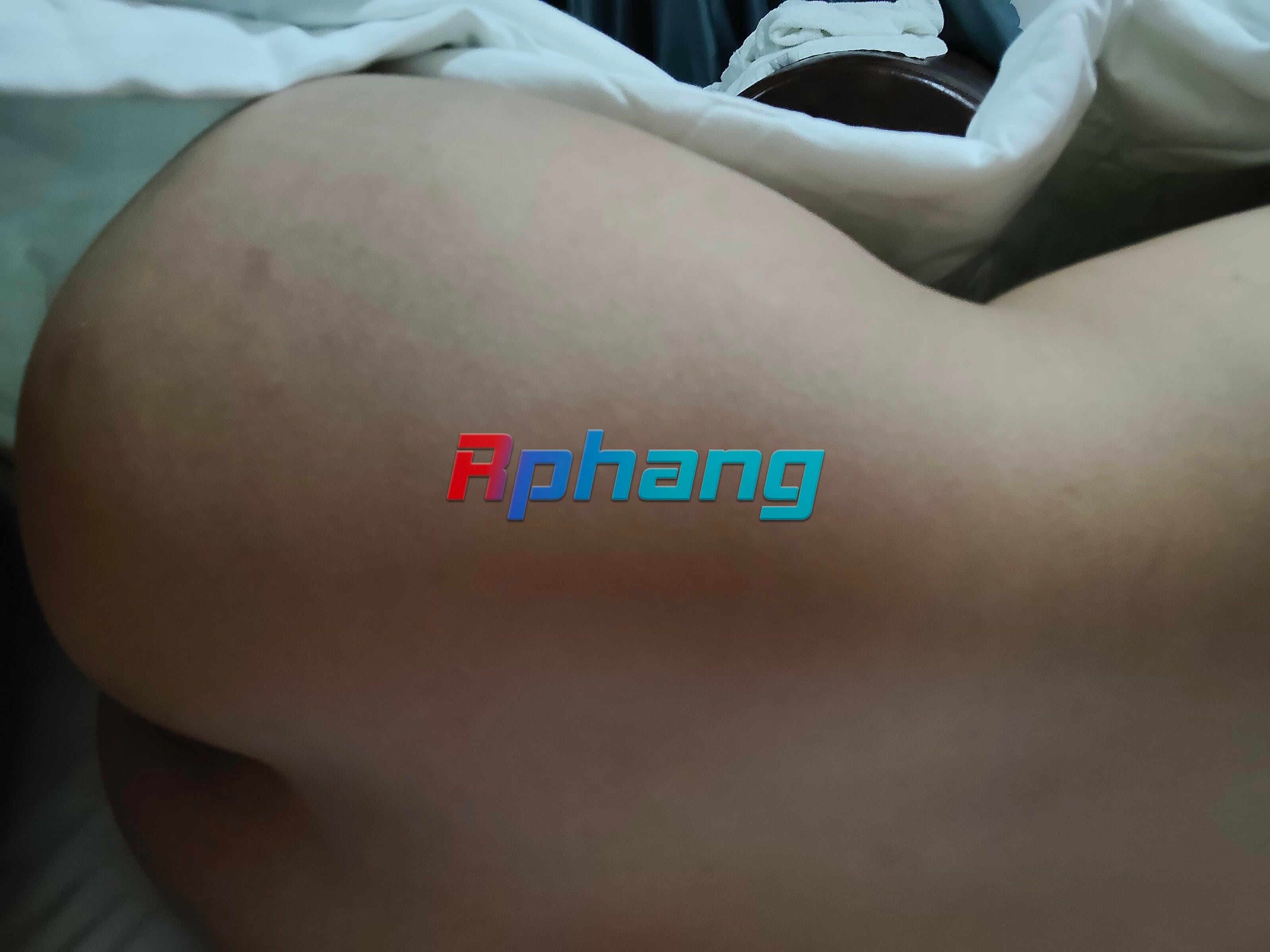 IMG20251214024617.jpg