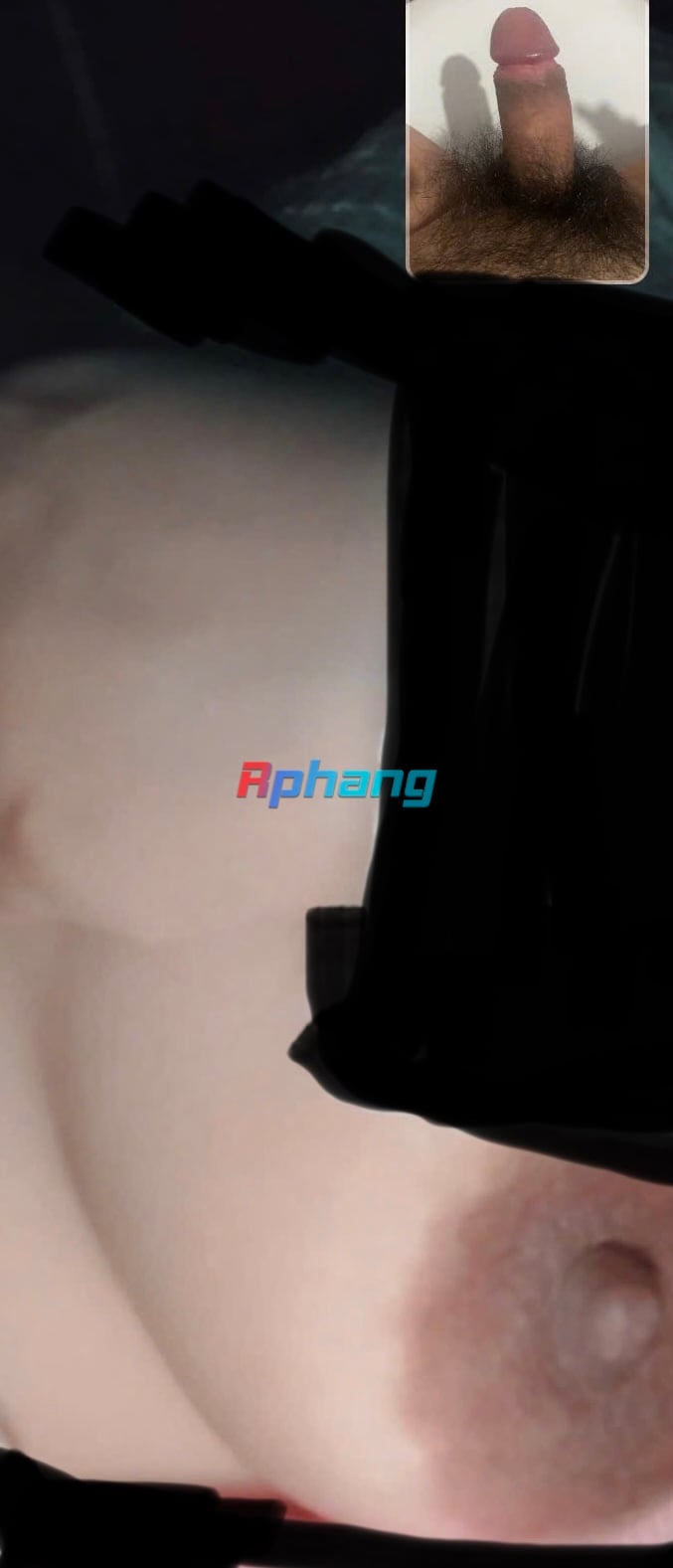 IMG_9437.jpeg