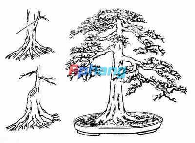 d9686ebb3aed3fd107d8e0be1fade6e1.jpg