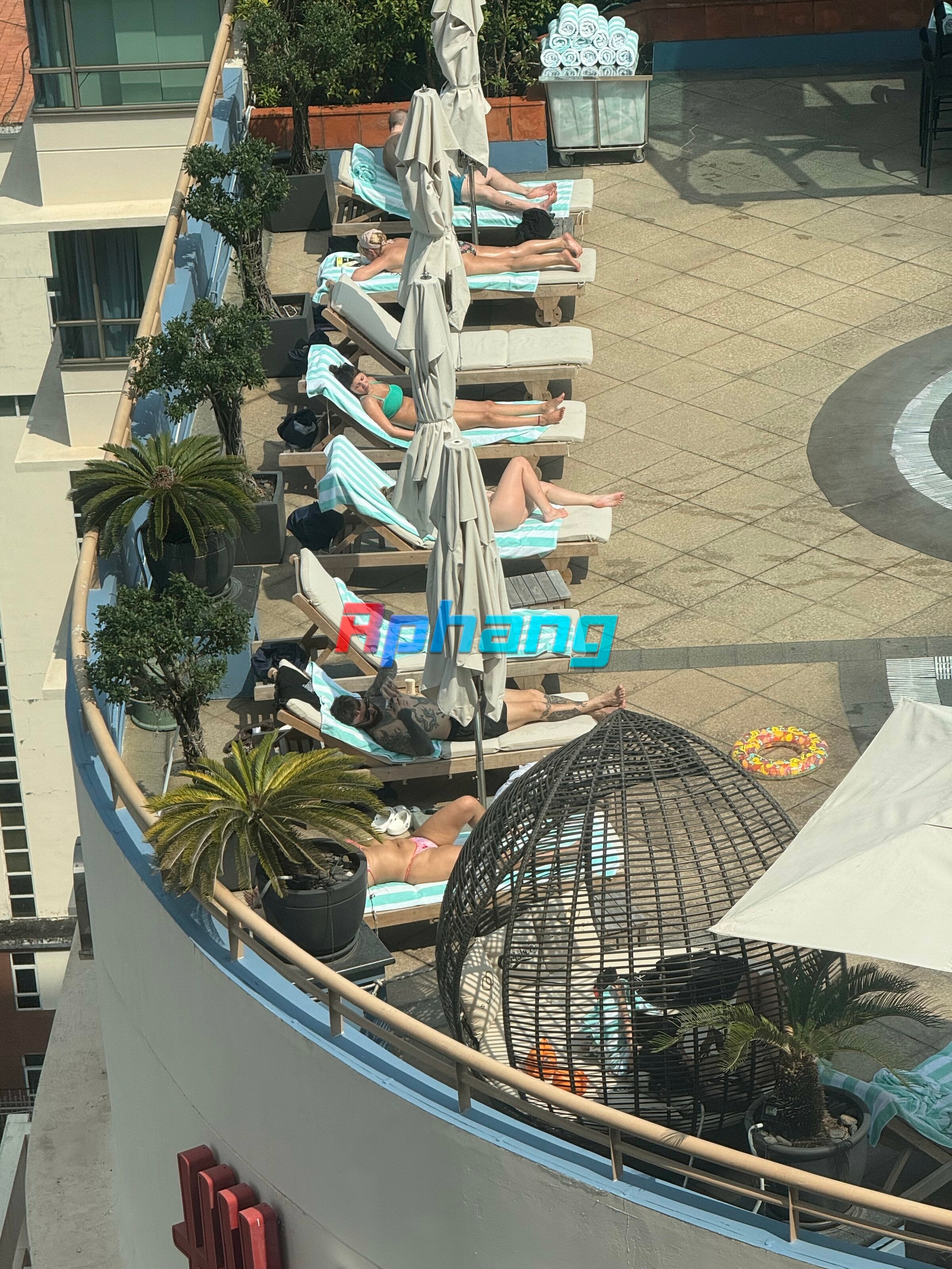 IMG_8982.jpeg