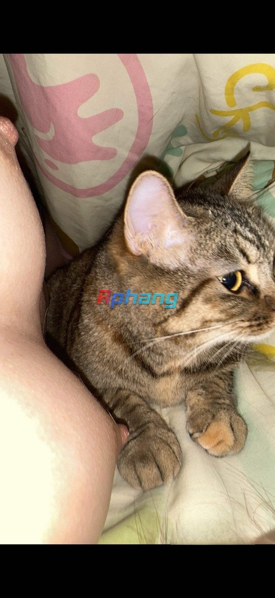 IMG_5618.jpeg