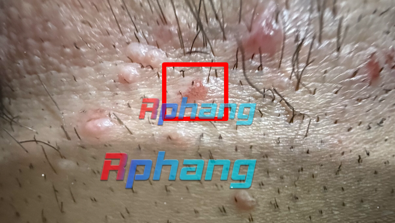 1767365185350.png