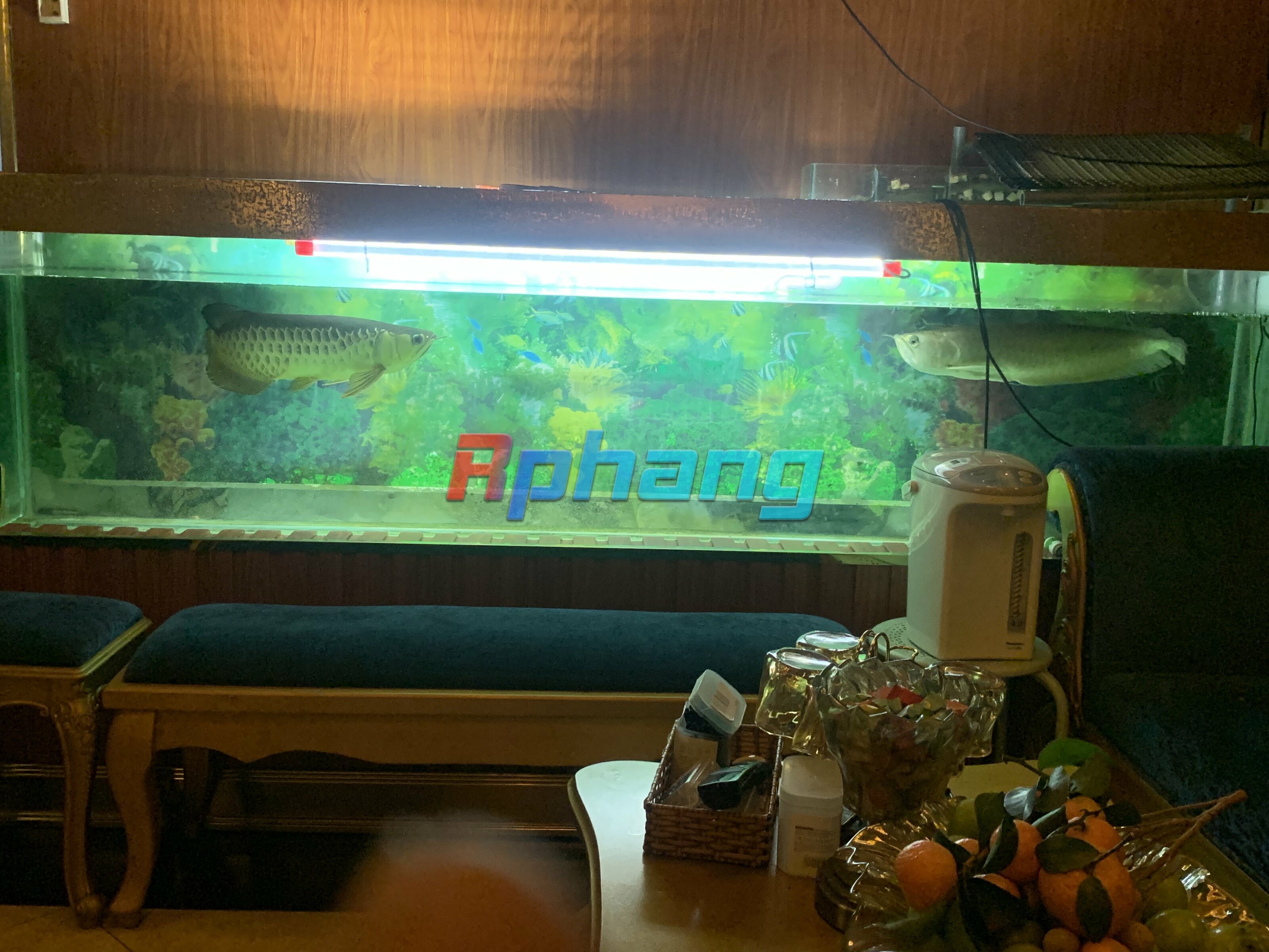 5044C153-409E-494D-8401-E59AA080C038.jpeg