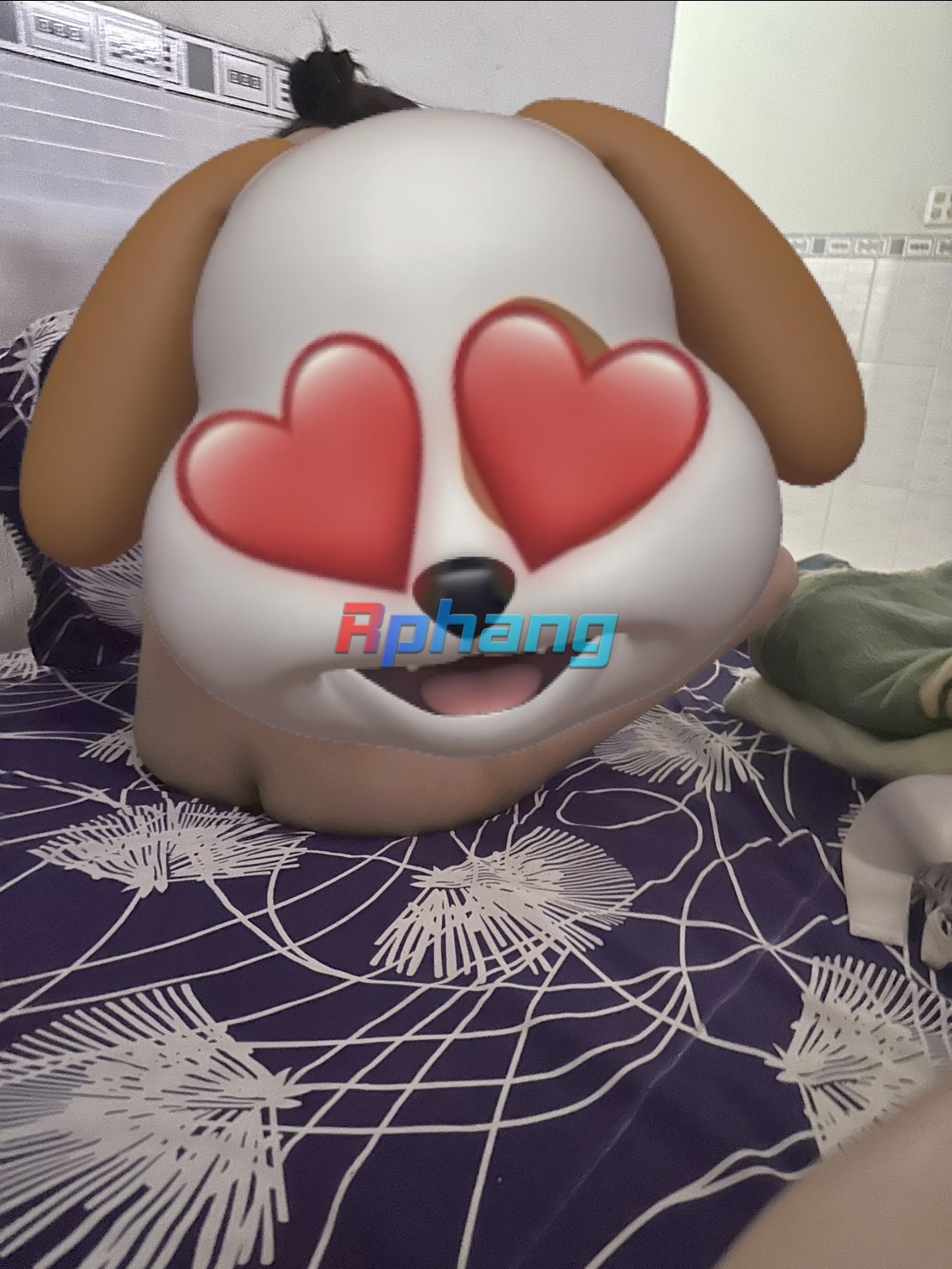910F6766-32C1-4F31-AEBF-7AC3C1251044.jpeg