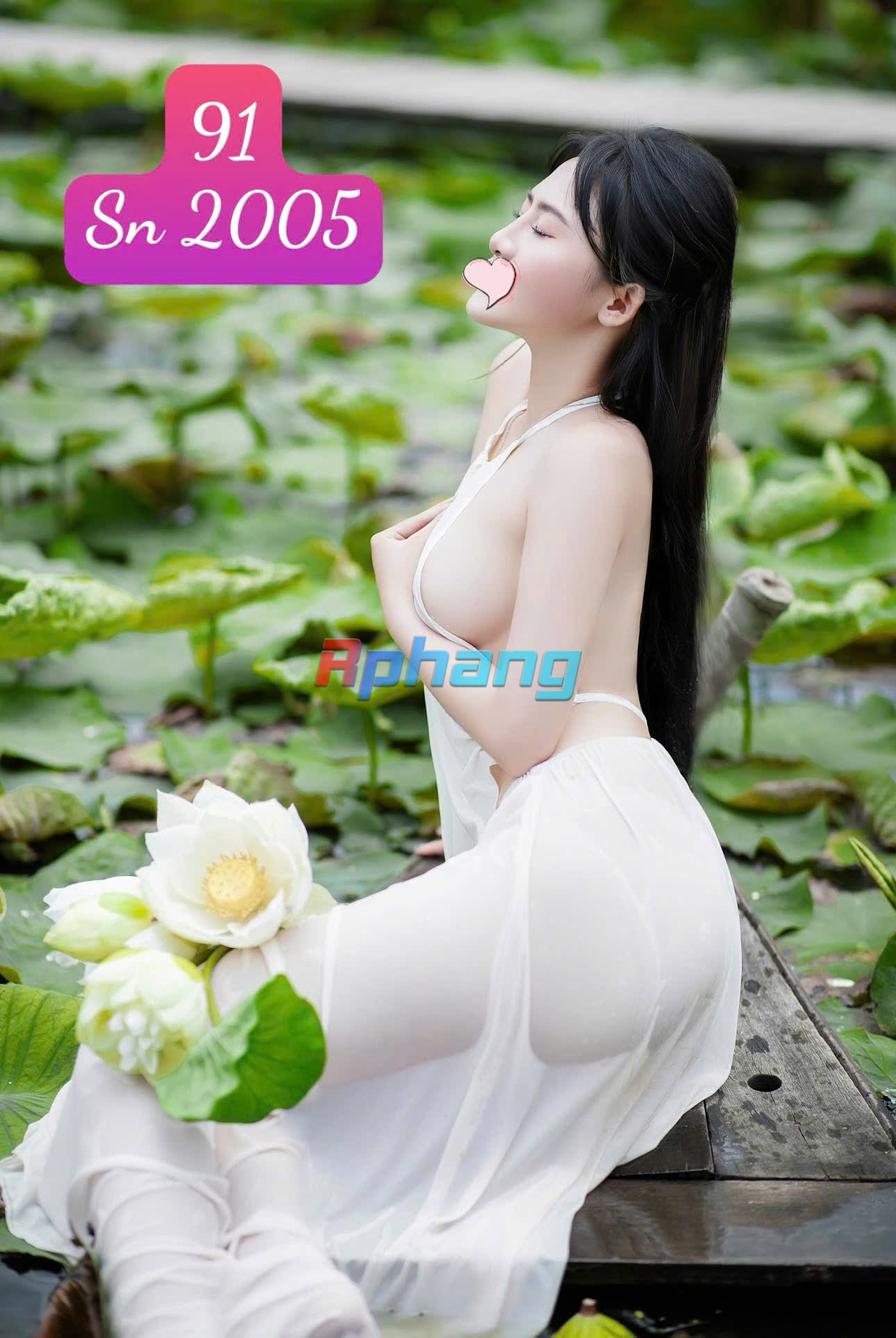 91a.jpg