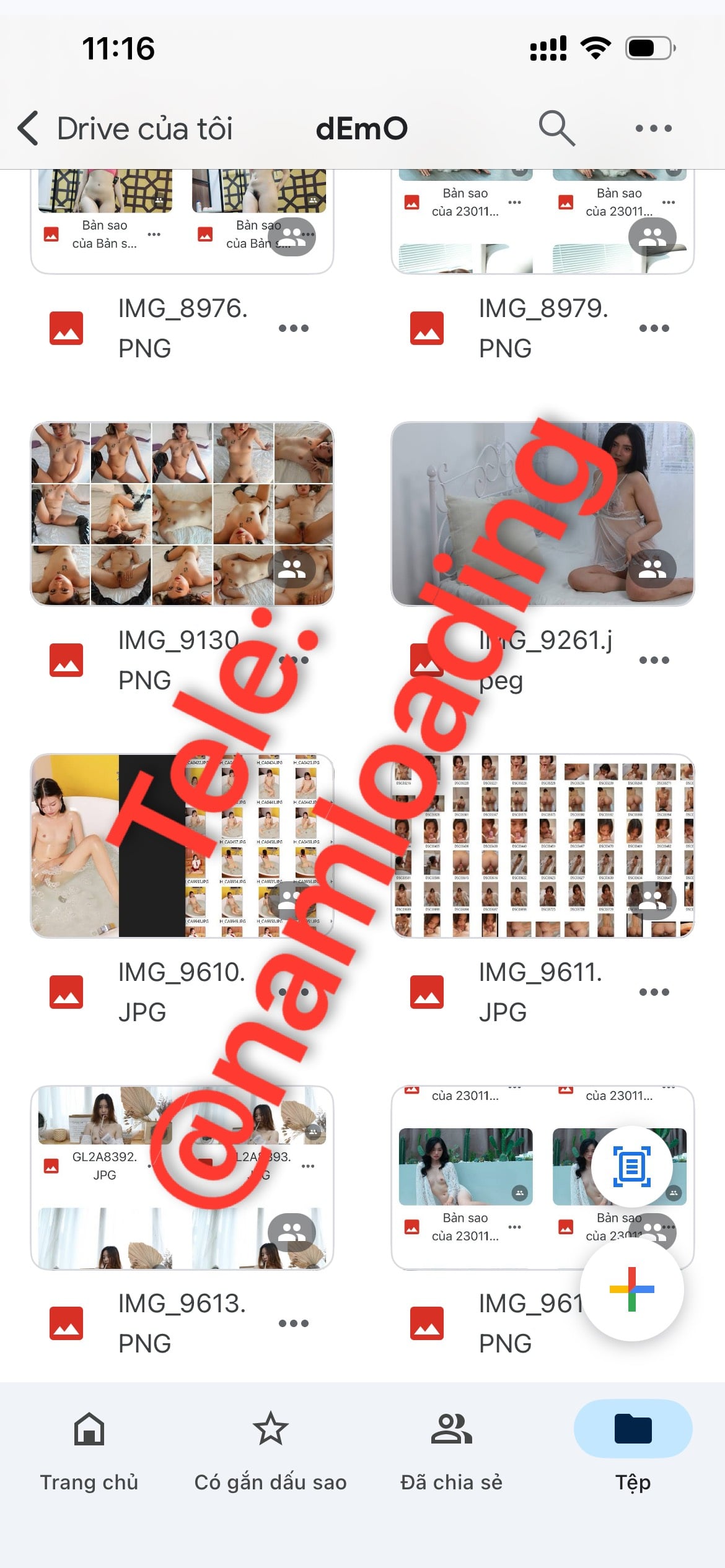 1c584b3ac2df77df7d2bd9b2a4a50839.jpeg