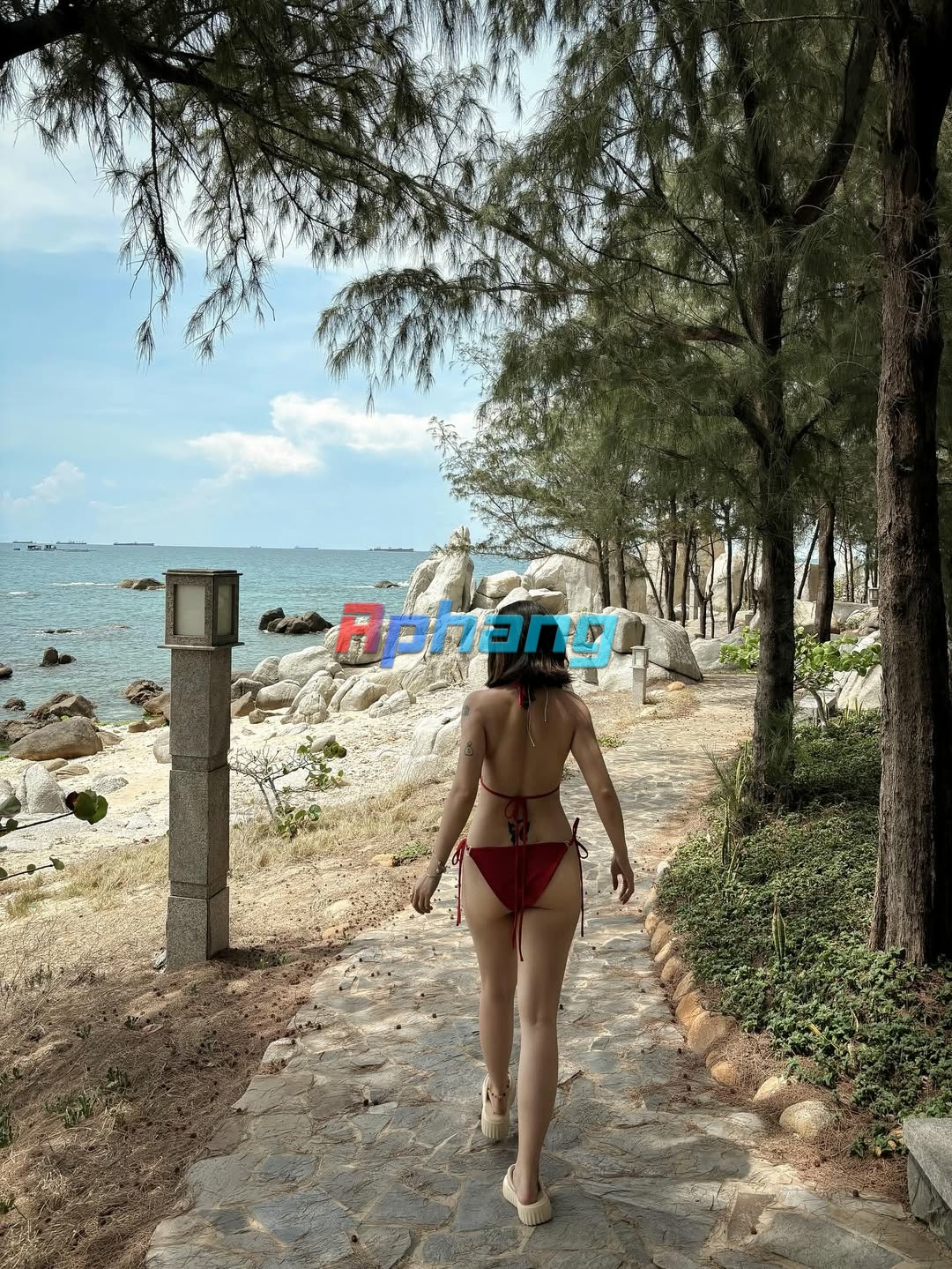 Post này không có trái dừa 🌊 (3).jpg