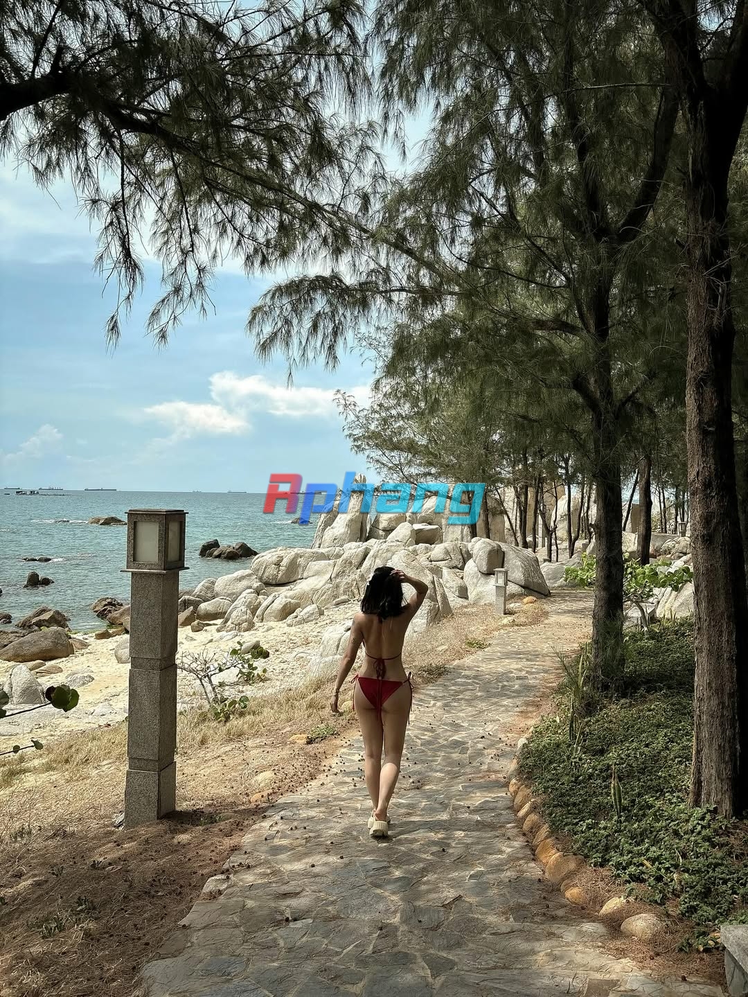 Post này không có trái dừa 🌊 (1).jpg