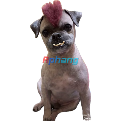 1769489469891.png