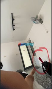 IMG_3960.jpeg