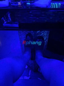 IMG_5445.jpeg