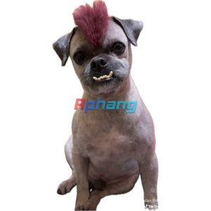 1767793433537.png