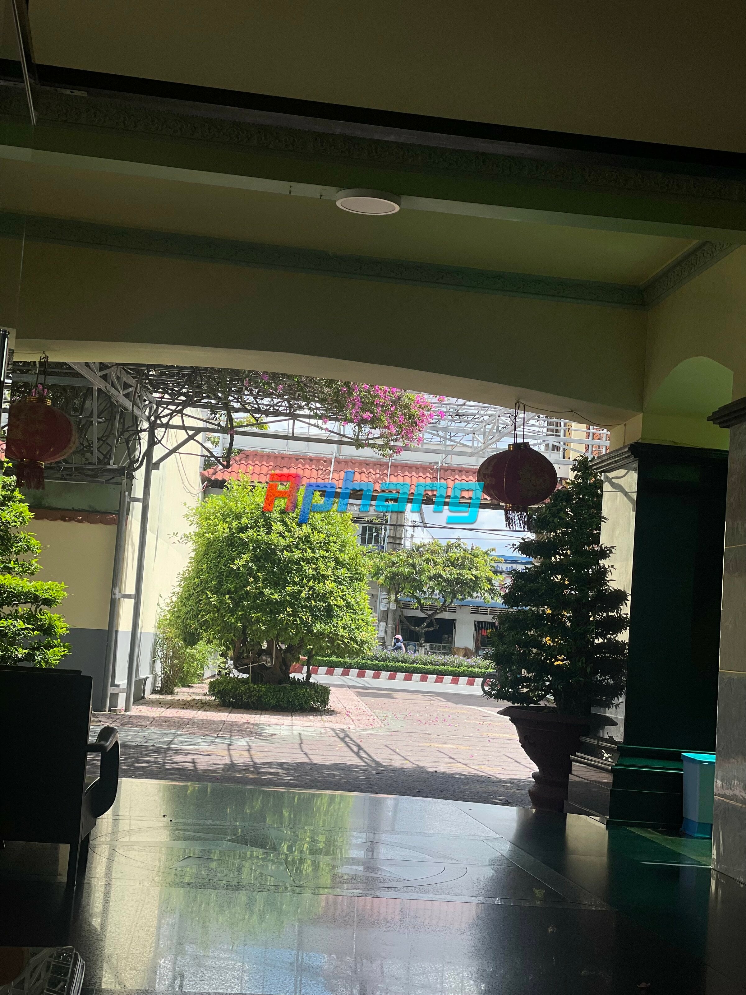 IMG_1143.jpeg