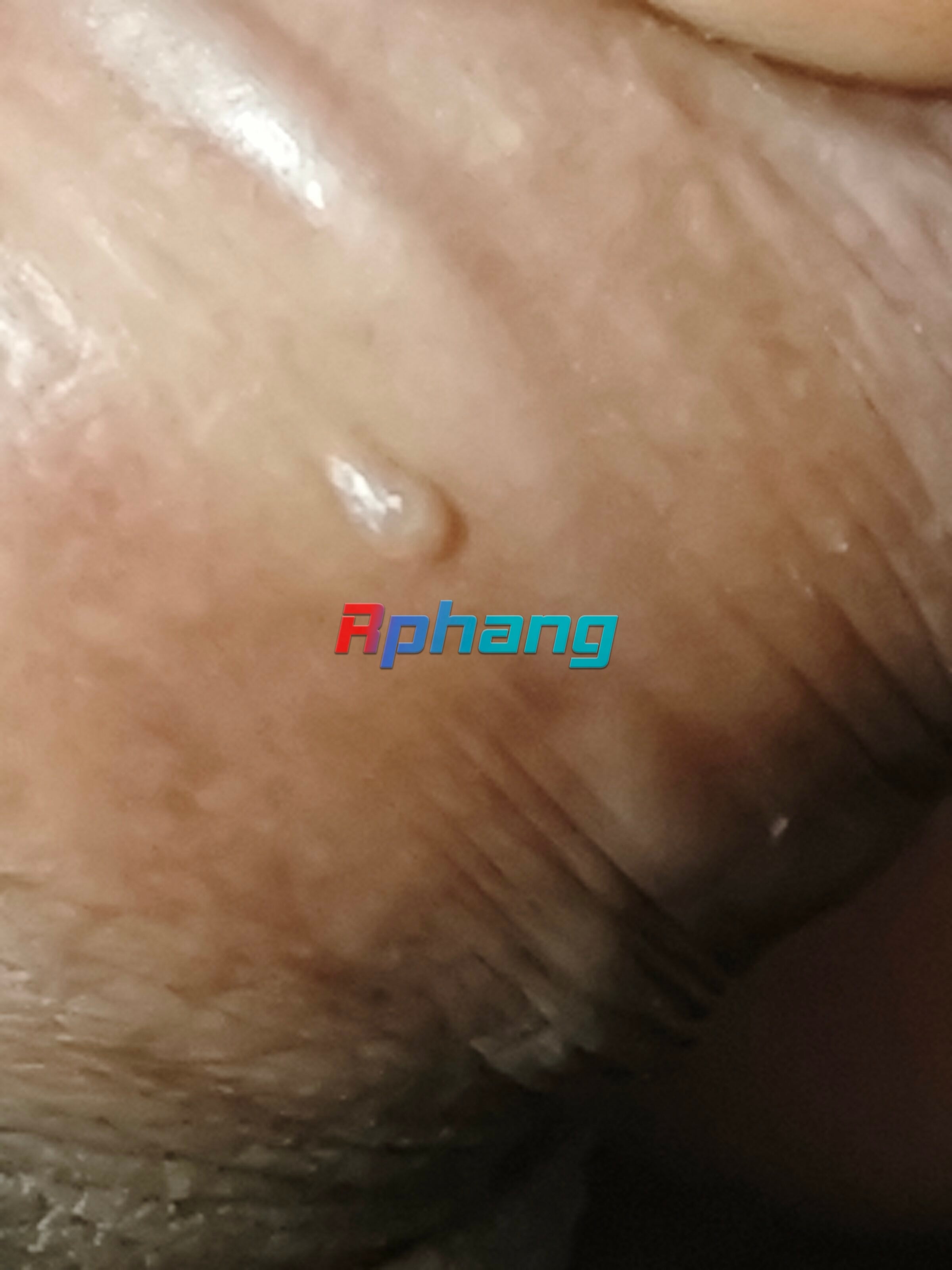 1769946445284.jpg