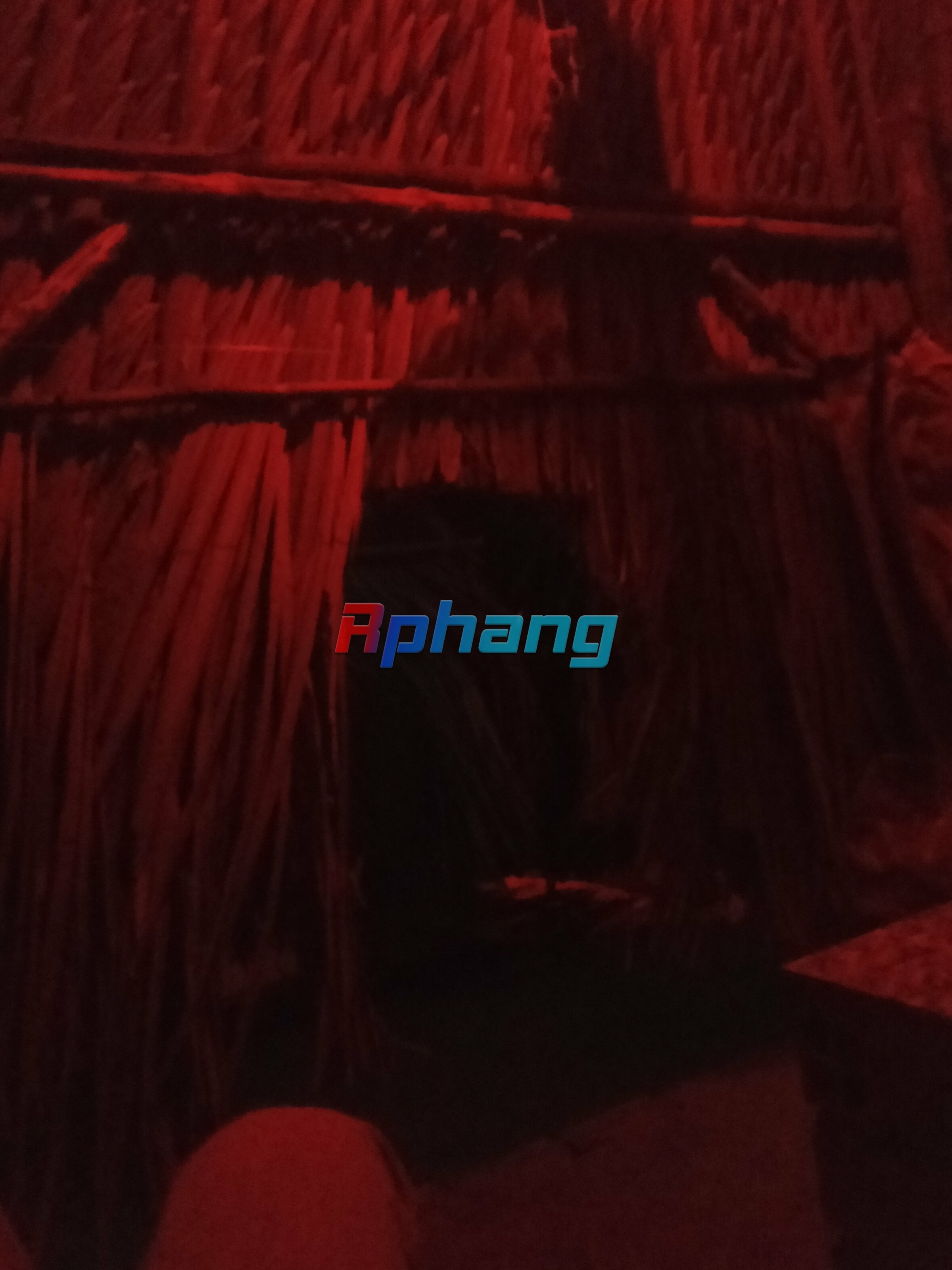 IMG20260203203856.jpg