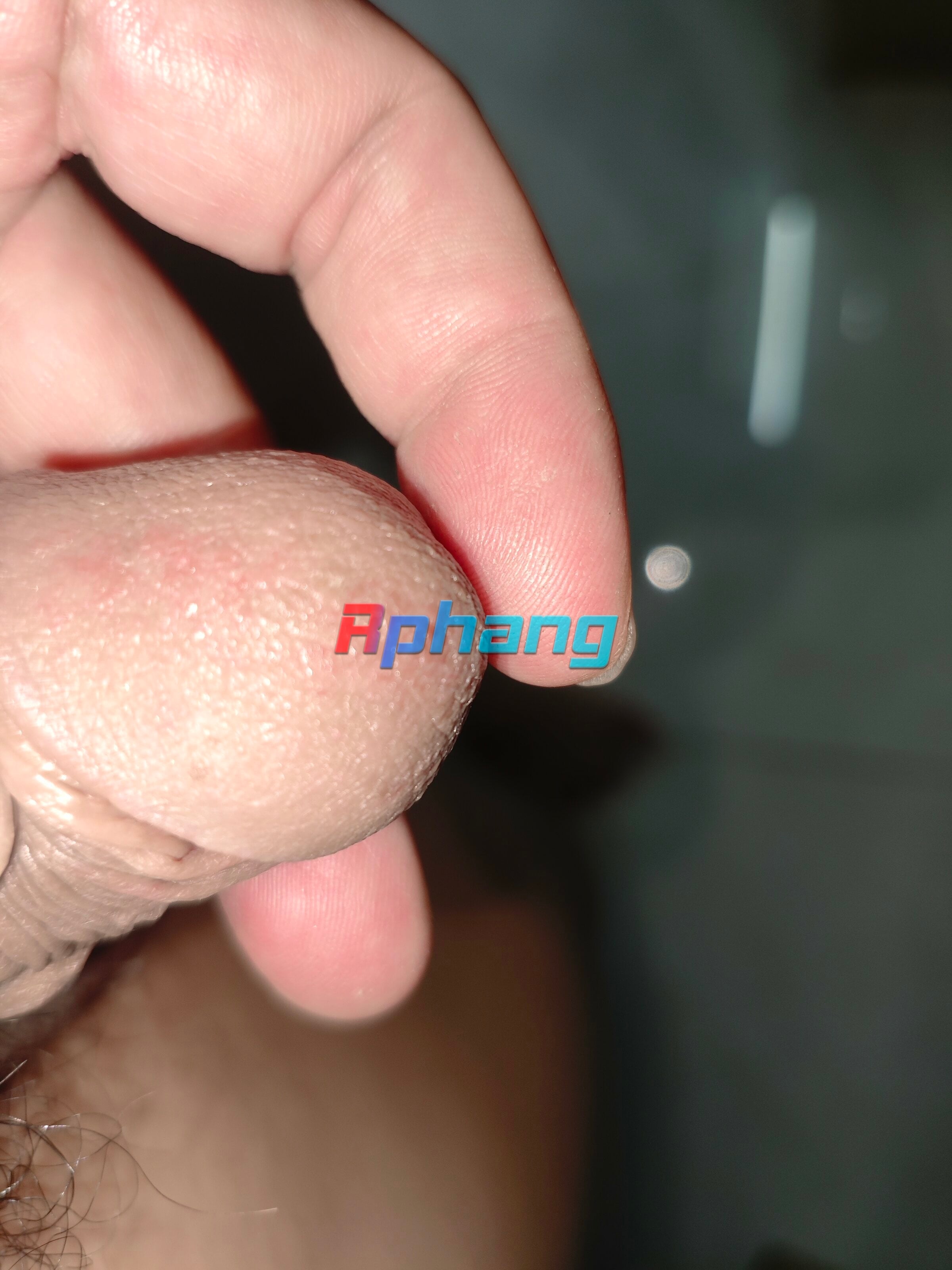 IMG_20260204_155945.jpg