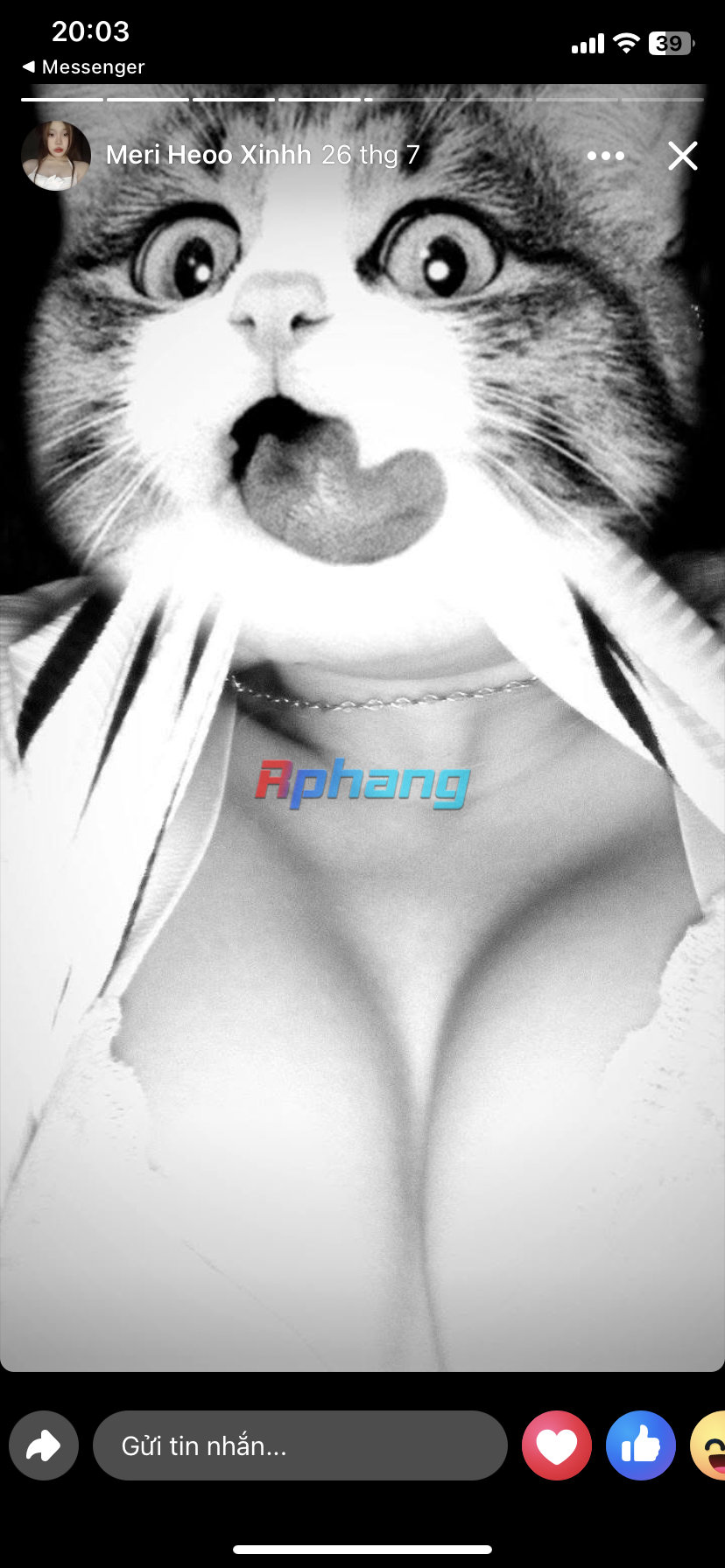 IMG_6177.png