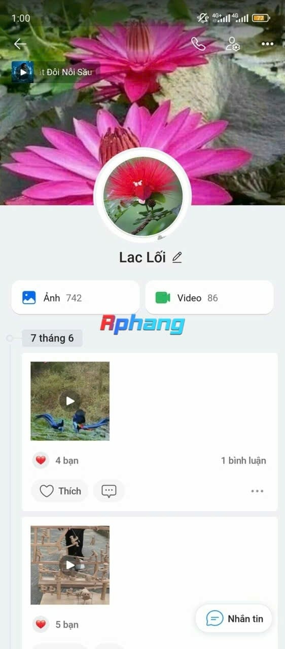 1000001987.jpg