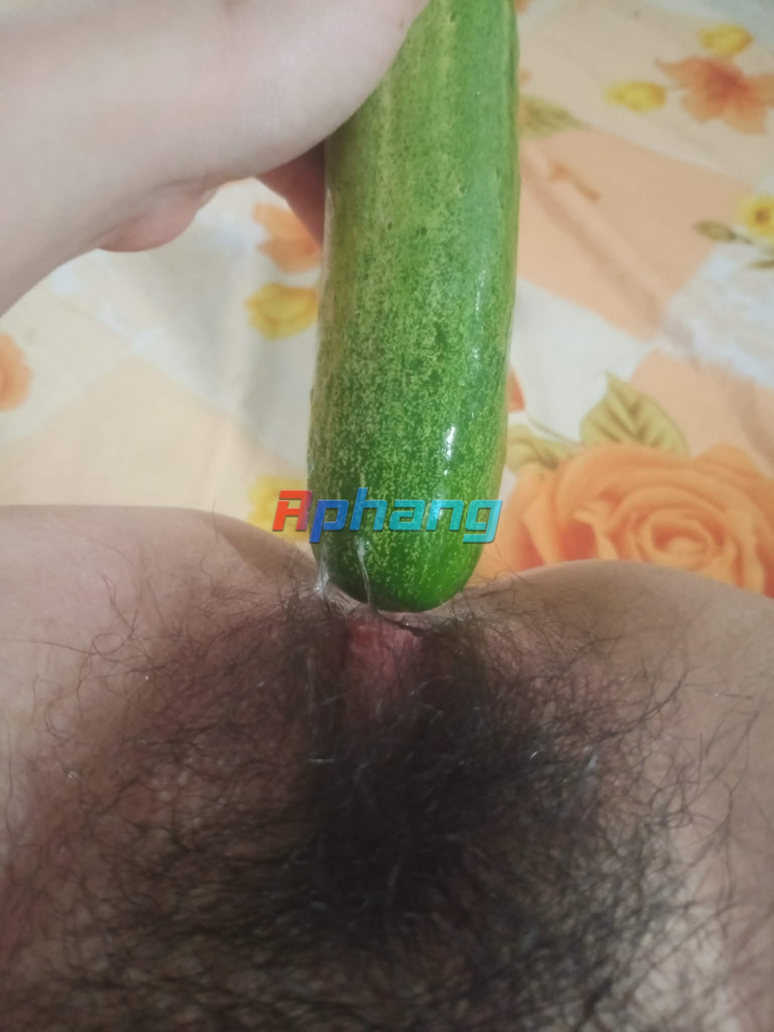 Messenger_creation_E9C8FB27-A9F0-4498-9F1D-2B1C596B26C3.jpeg