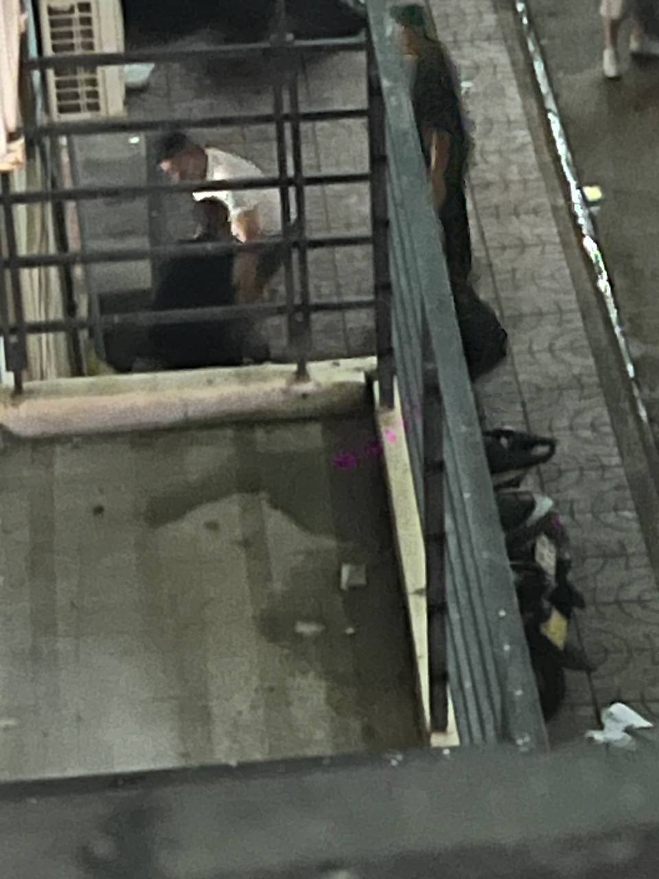 bắt mới đưa về.jpeg