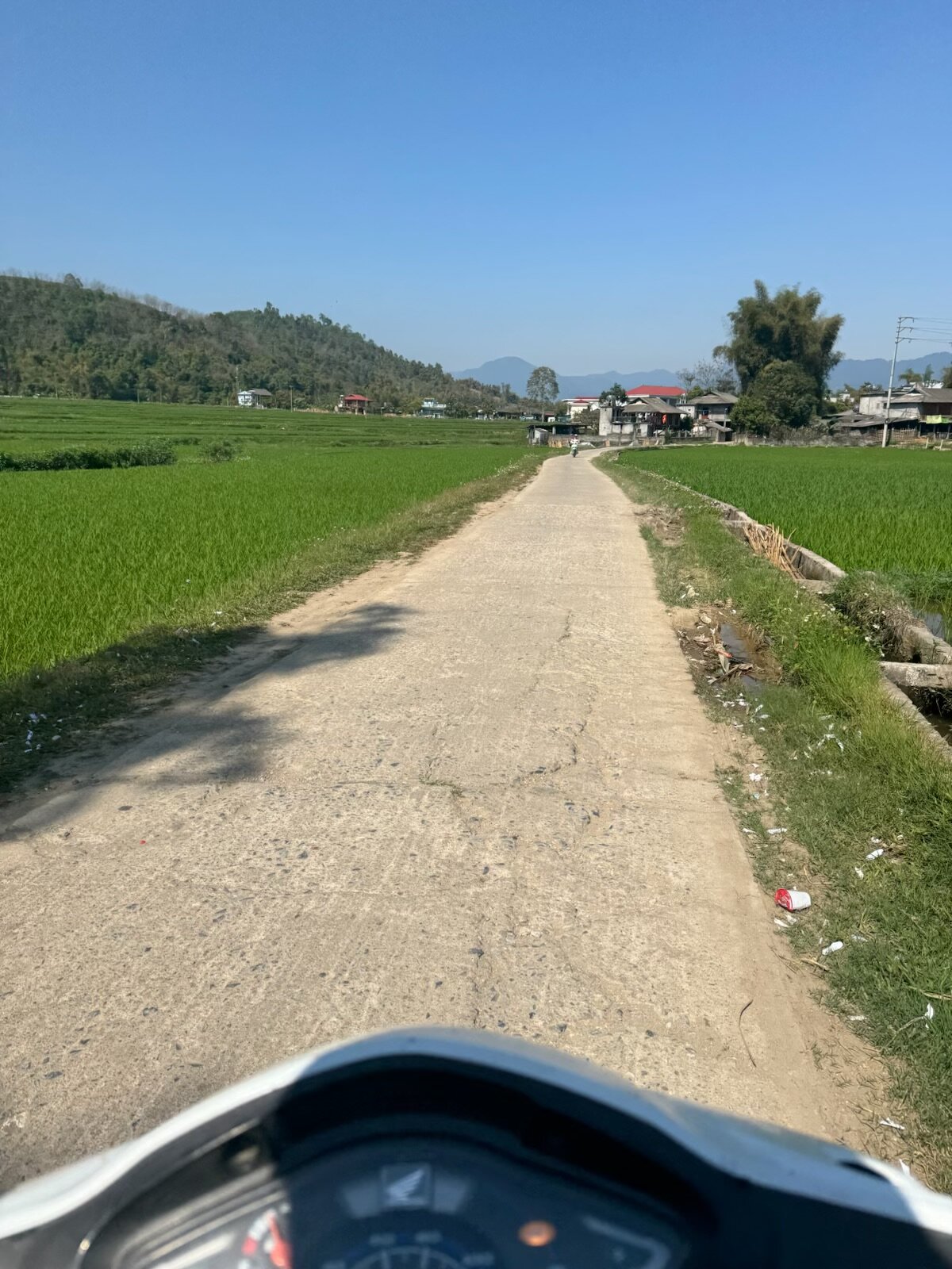 IMG_3119.jpeg