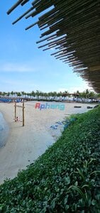 IMG_1731.jpeg