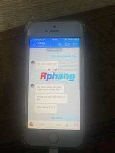 IMG_3010.jpeg