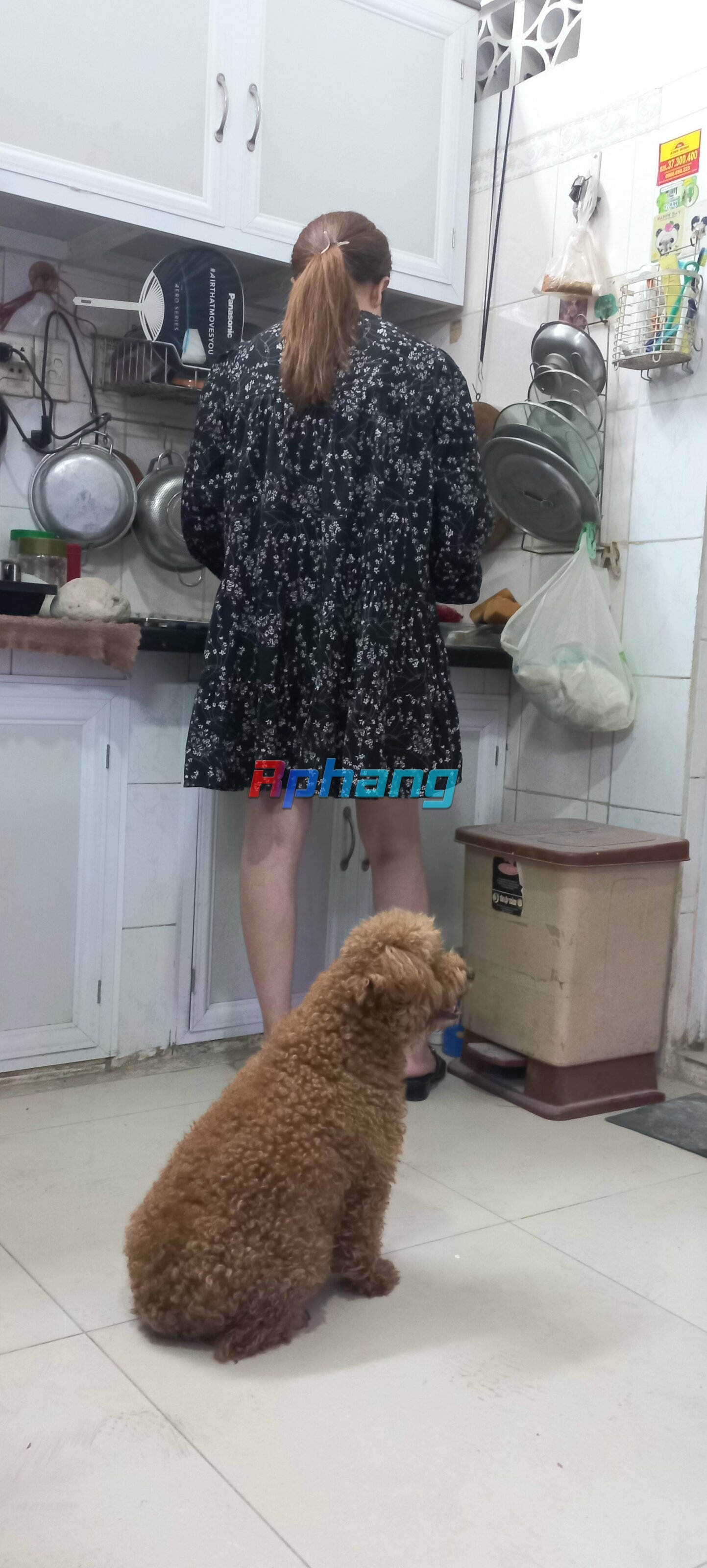 20240417_195256.jpg
