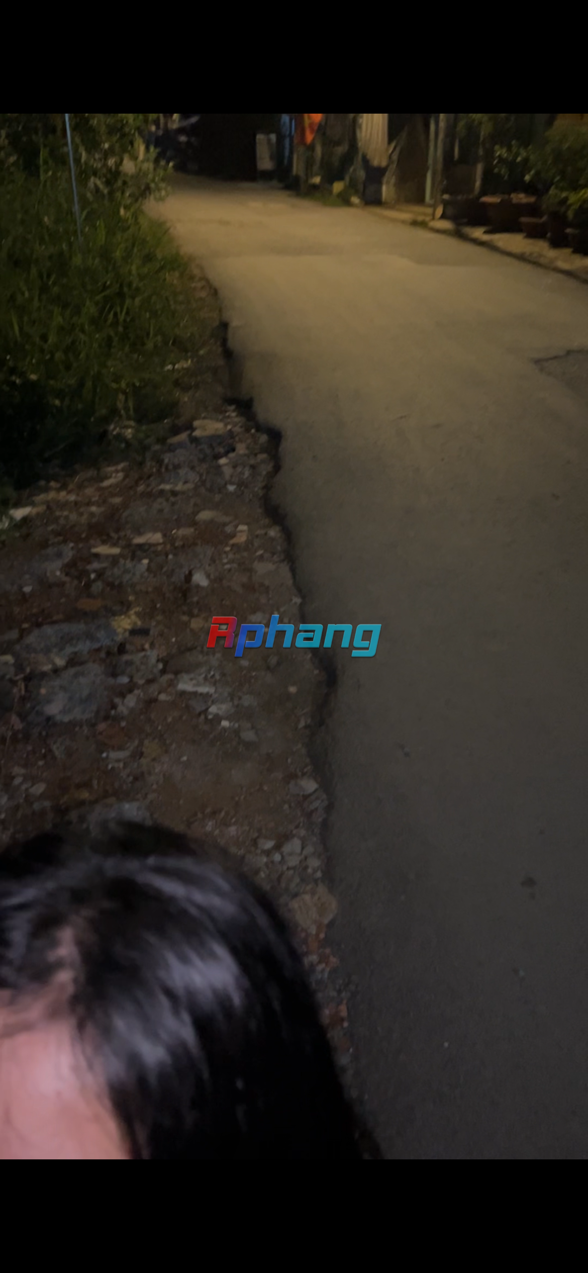 IMG_6362.png